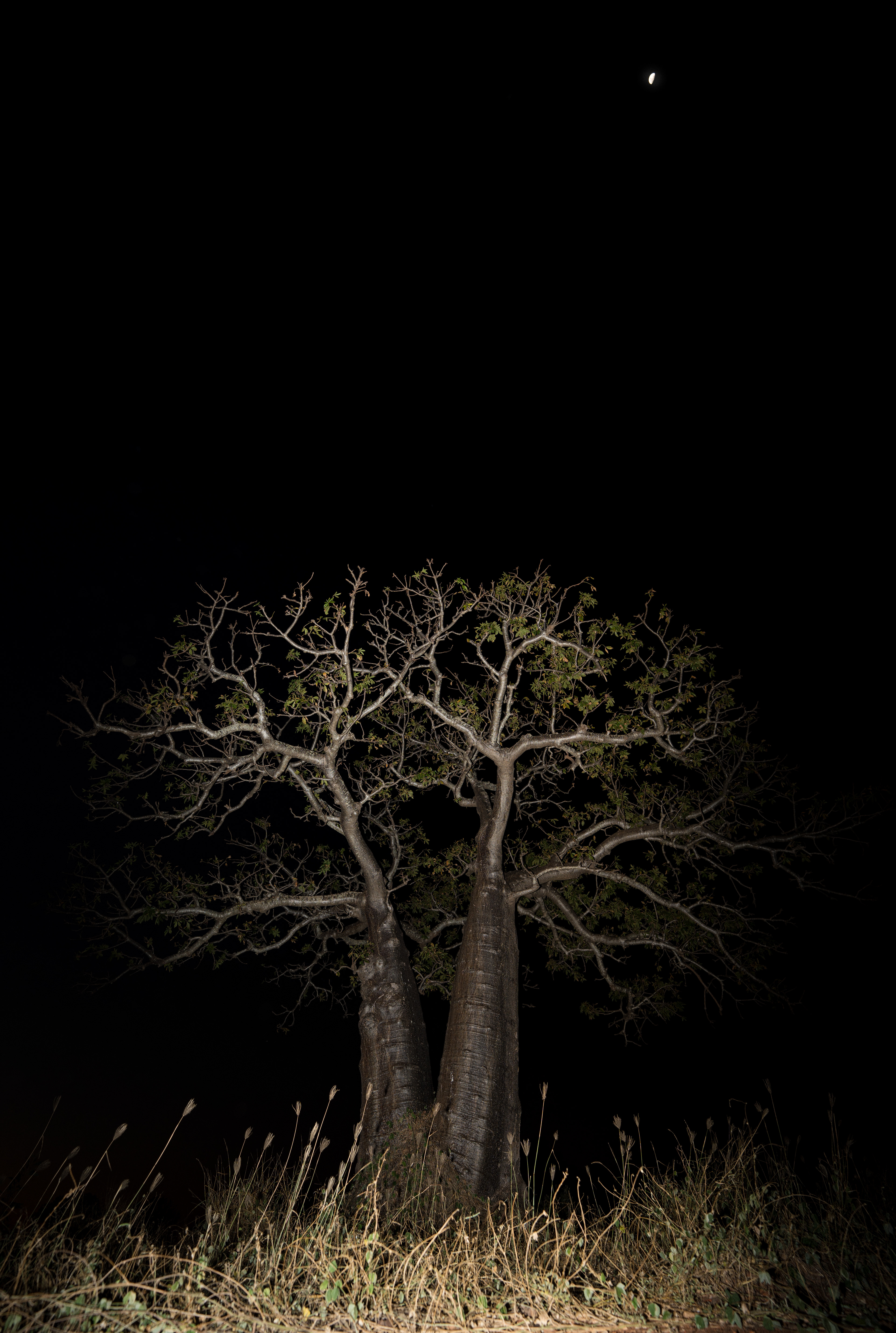 Broome, Western Australia