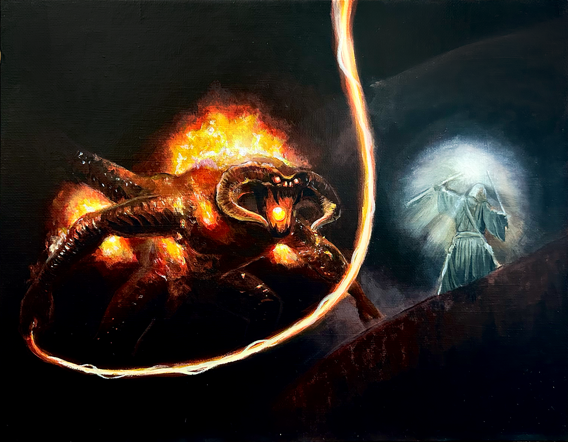 The LOTR: Fellowship of the Ring