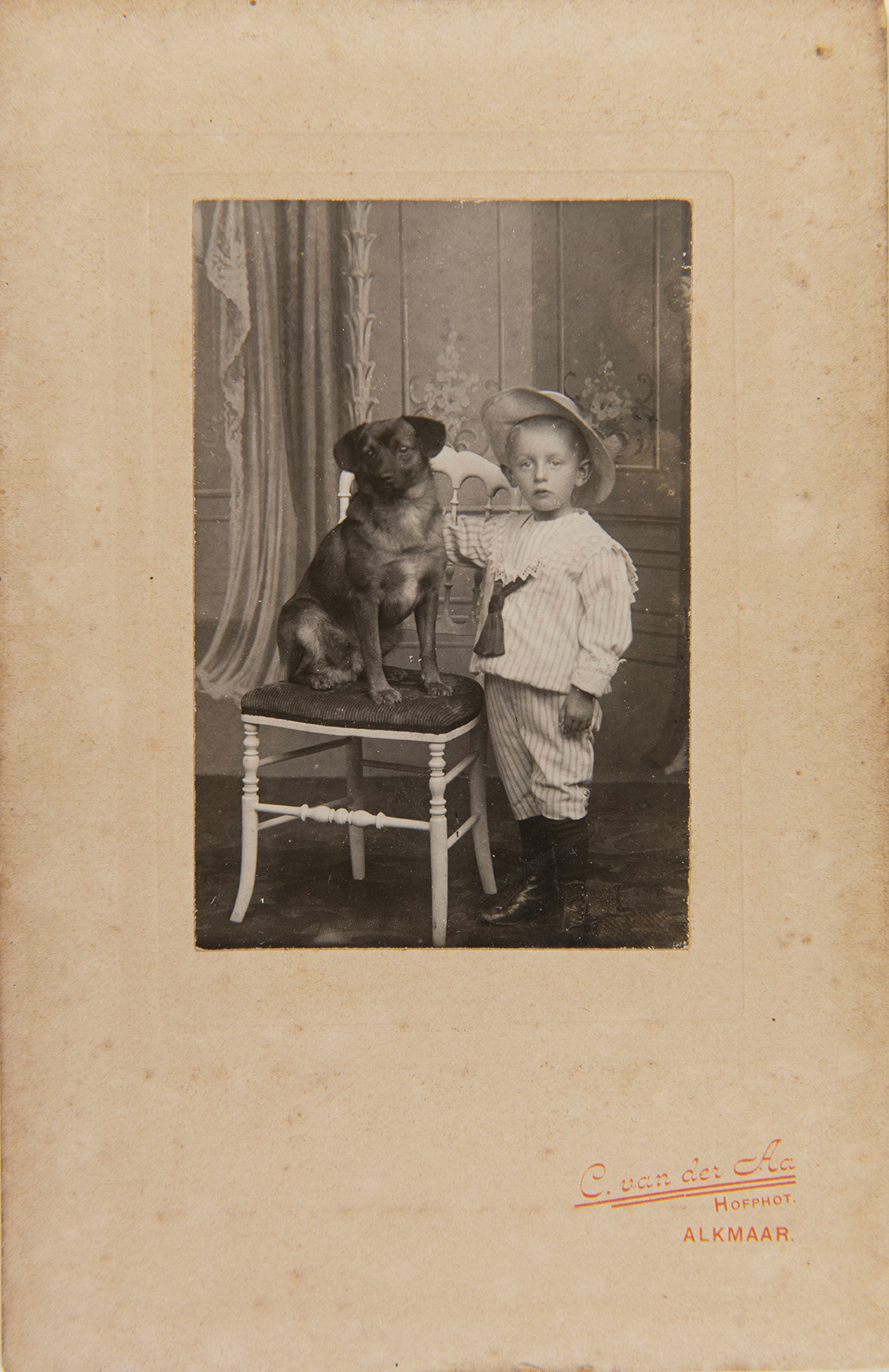 Collectie Alkmaarsefotografen.nl