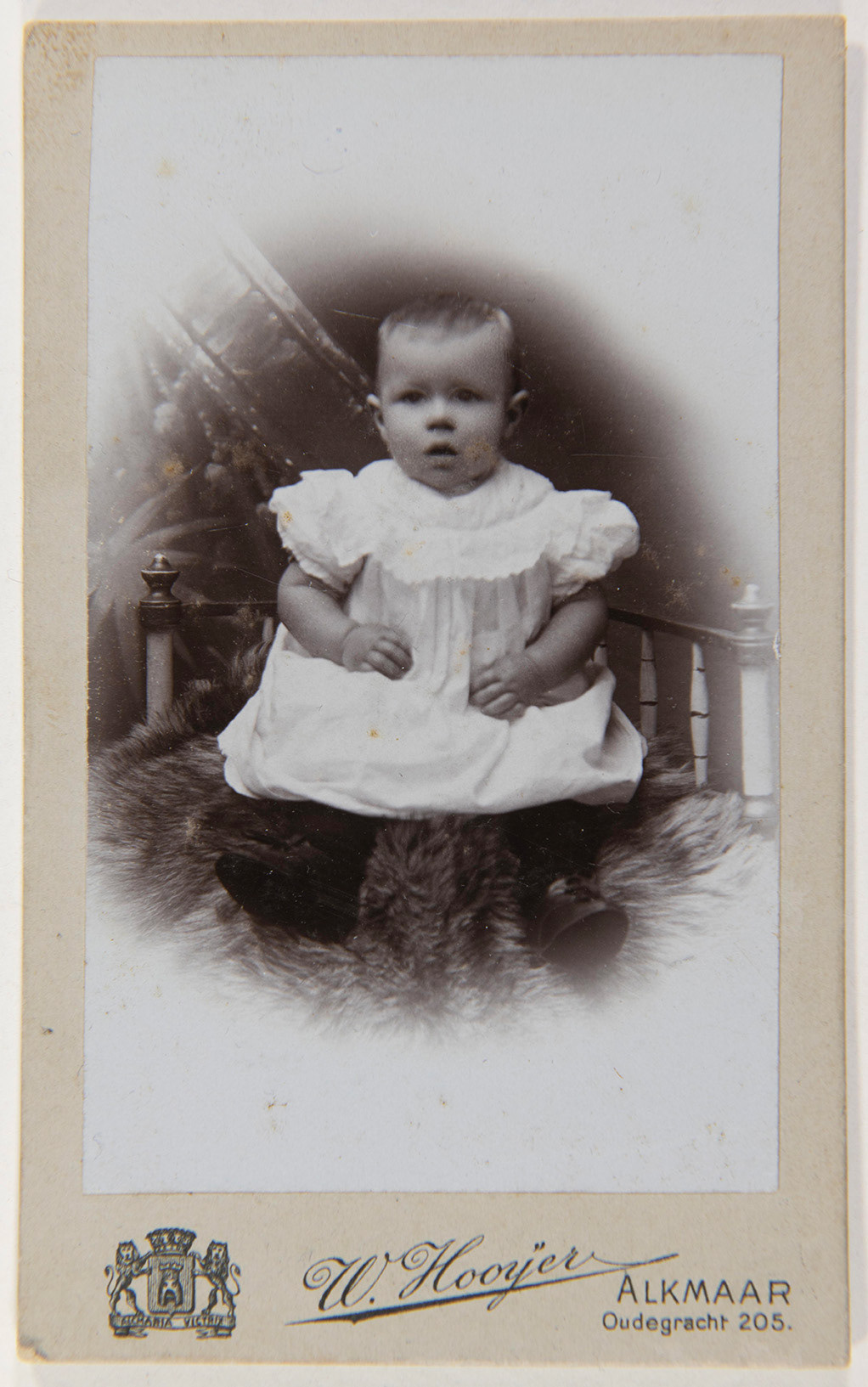 Collectie Alkmaarsefotografen.nl