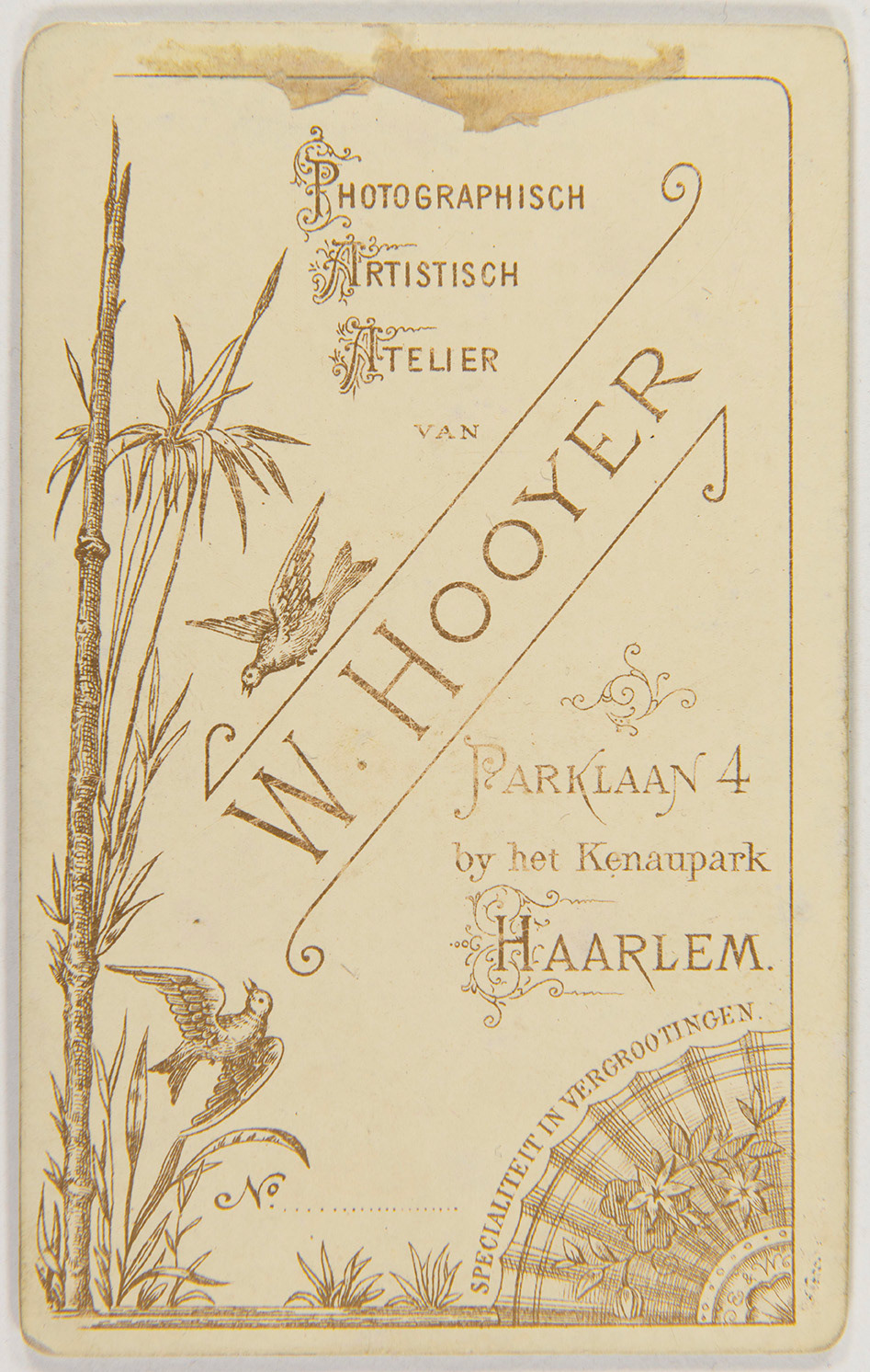 Collectie Alkmaarsefotografen.nl