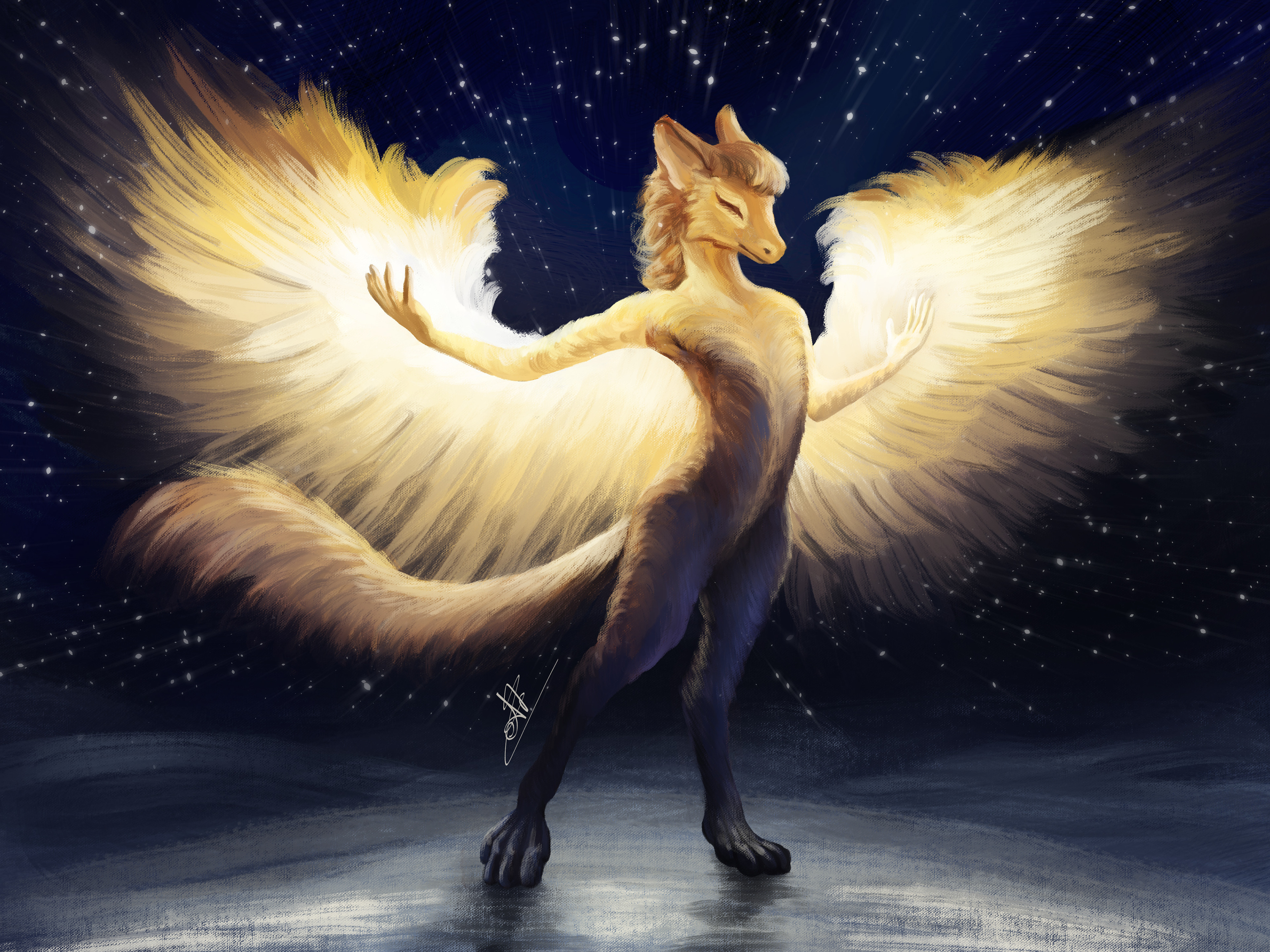 The One Who Dreams in Gold