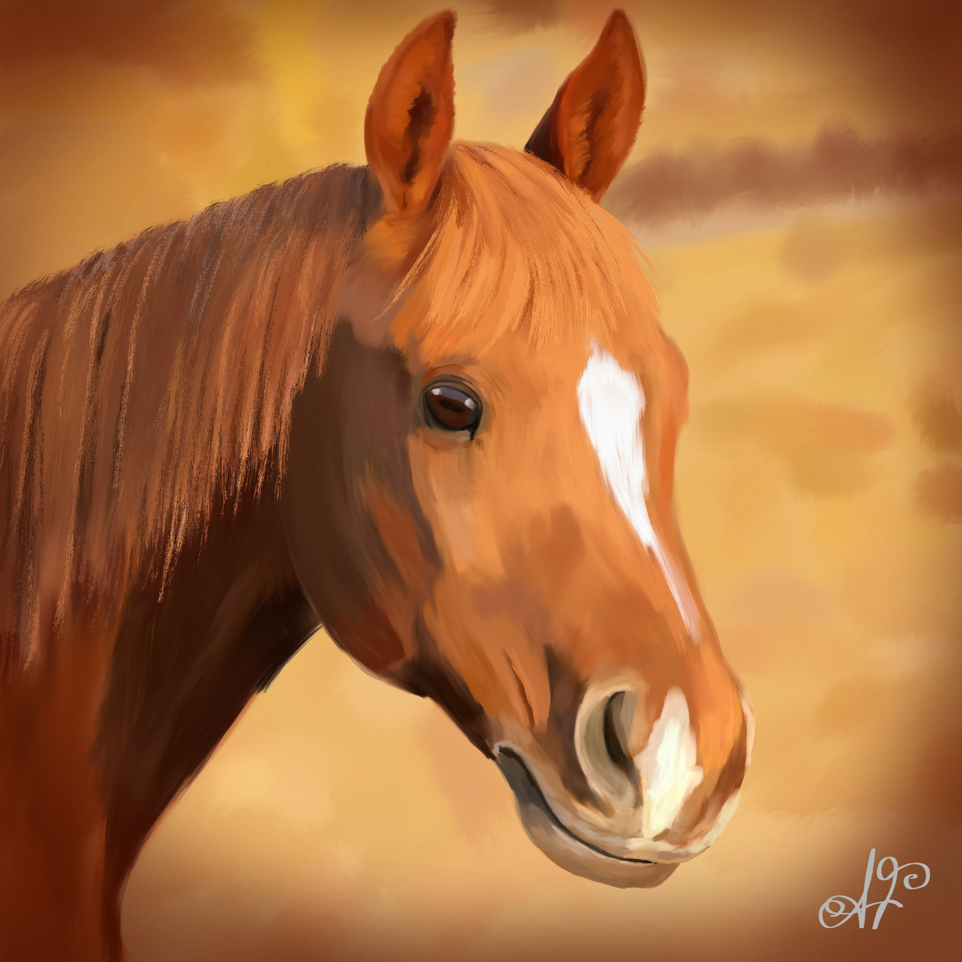 Wild west