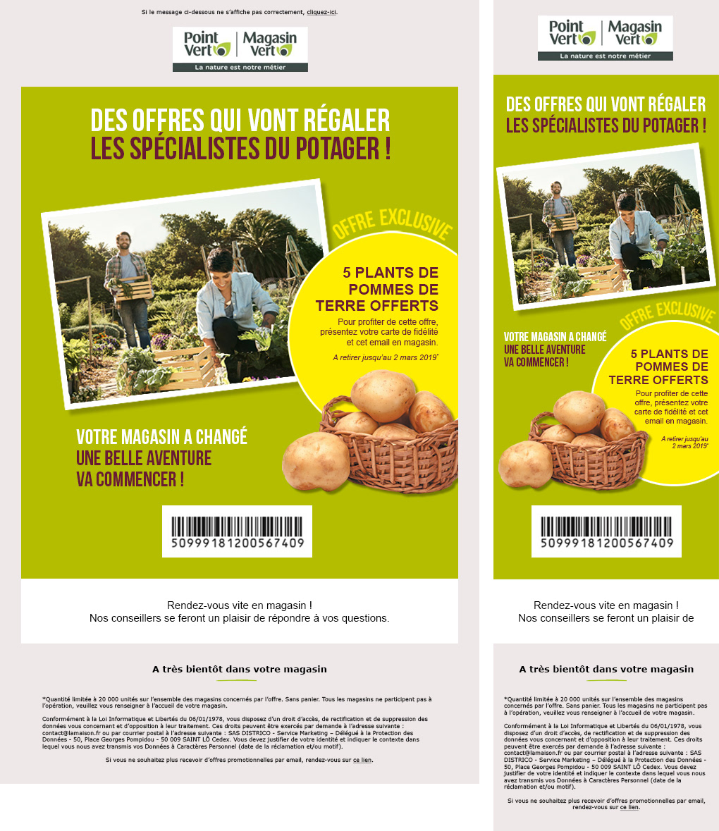 Email promotionnel Newsletter en responsive design pour Magasin Vert