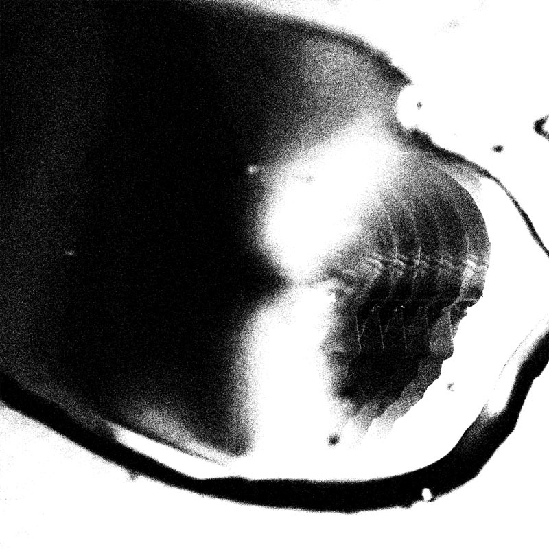 The Tragedy of Macbeth