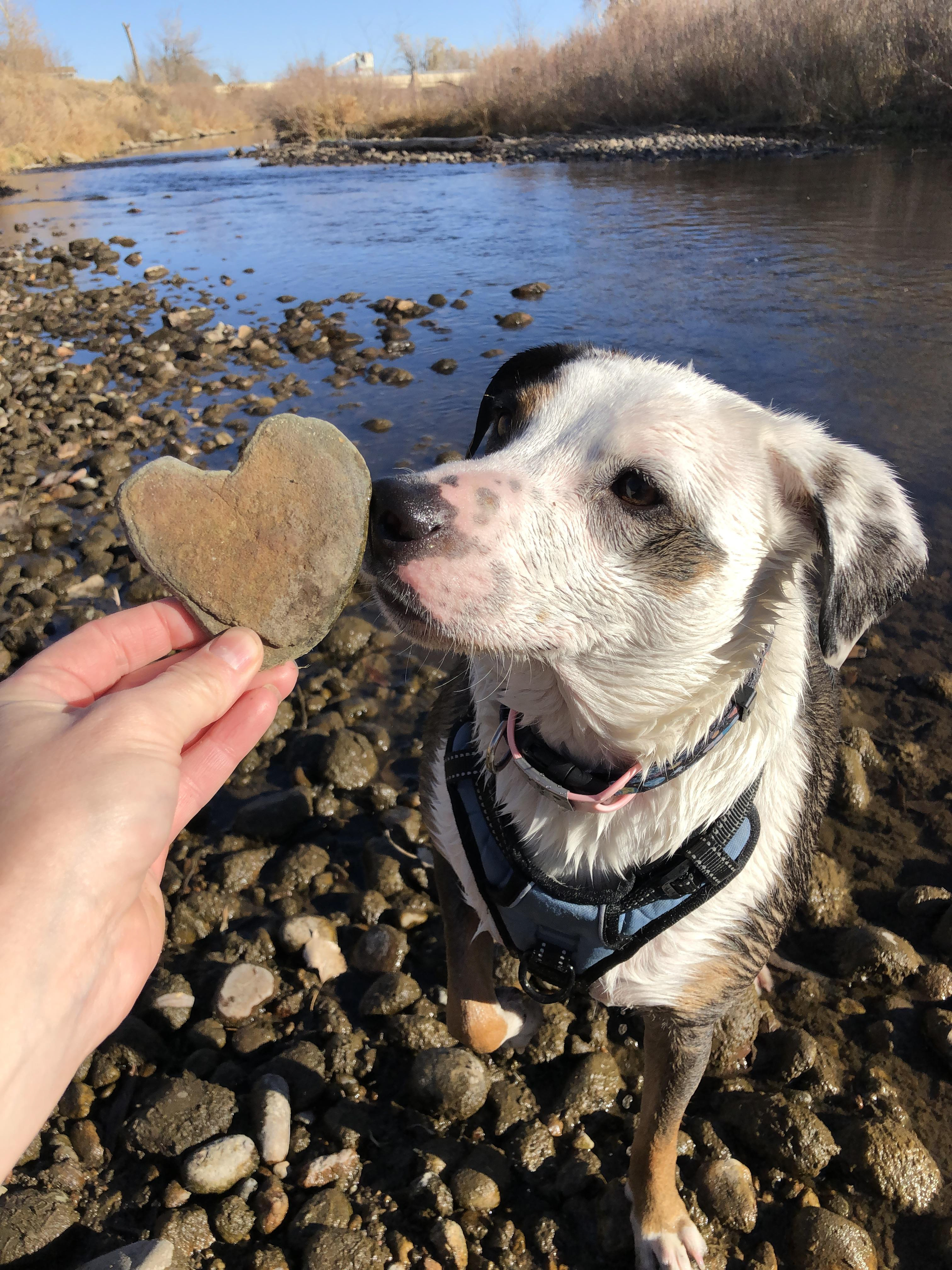 Finding the perfect river rock