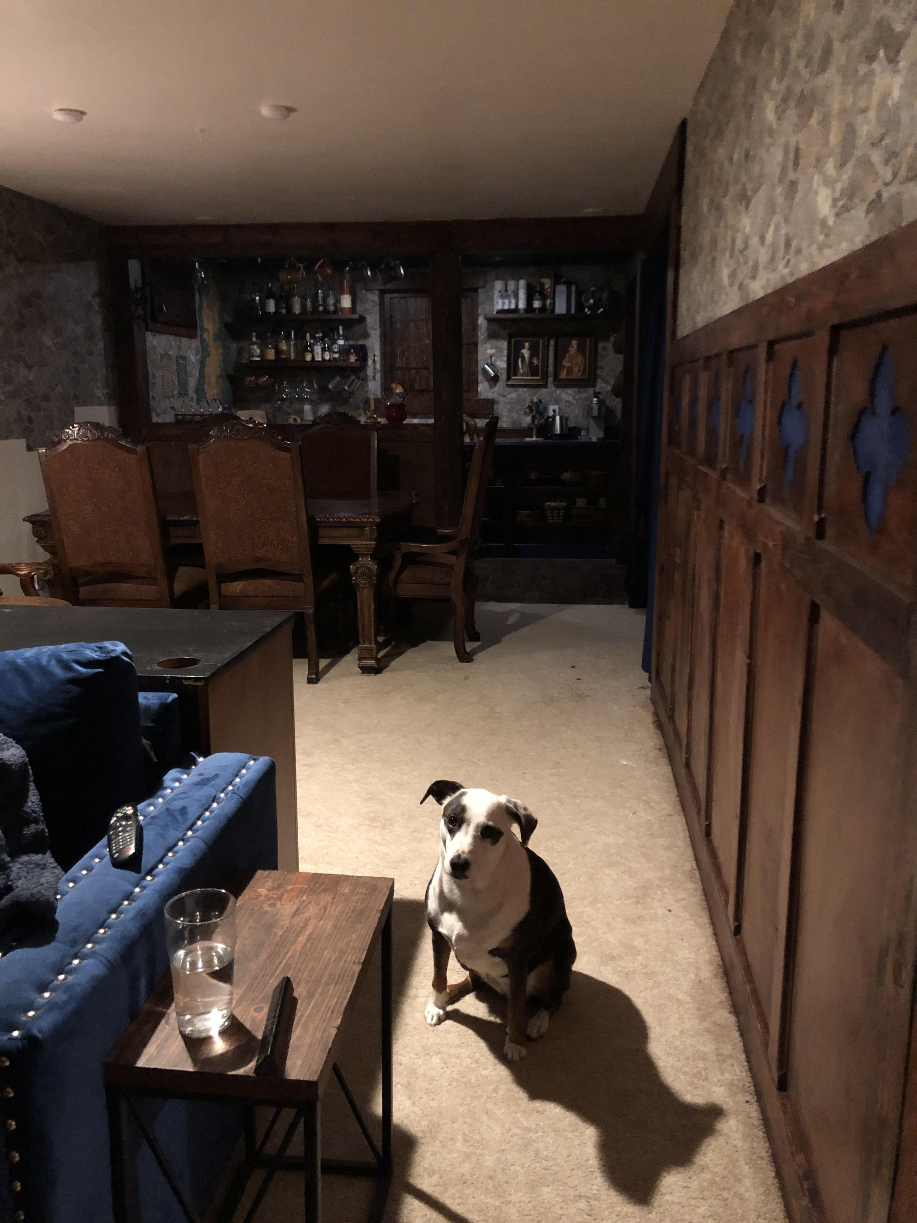 Medieval Basement Tavern Phase 1