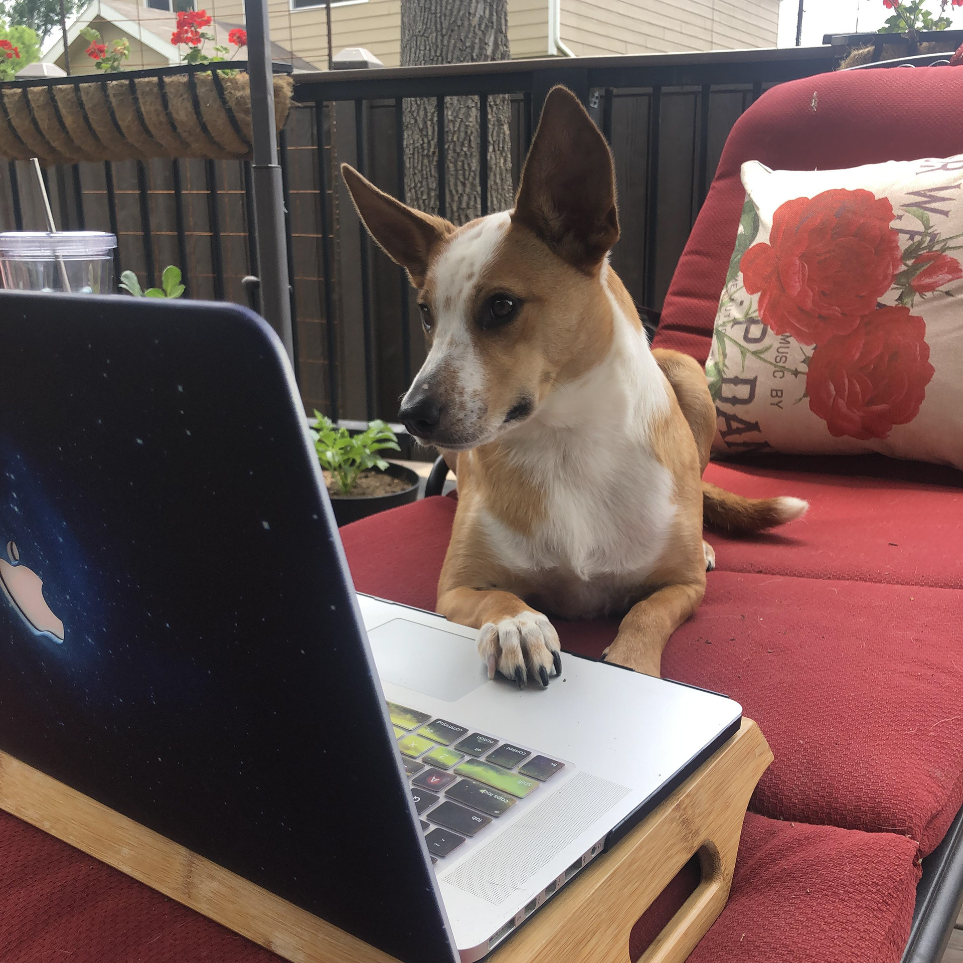 Working hard or hardly working, eh?!