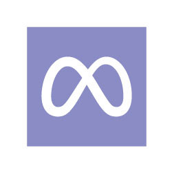 Meta Logo