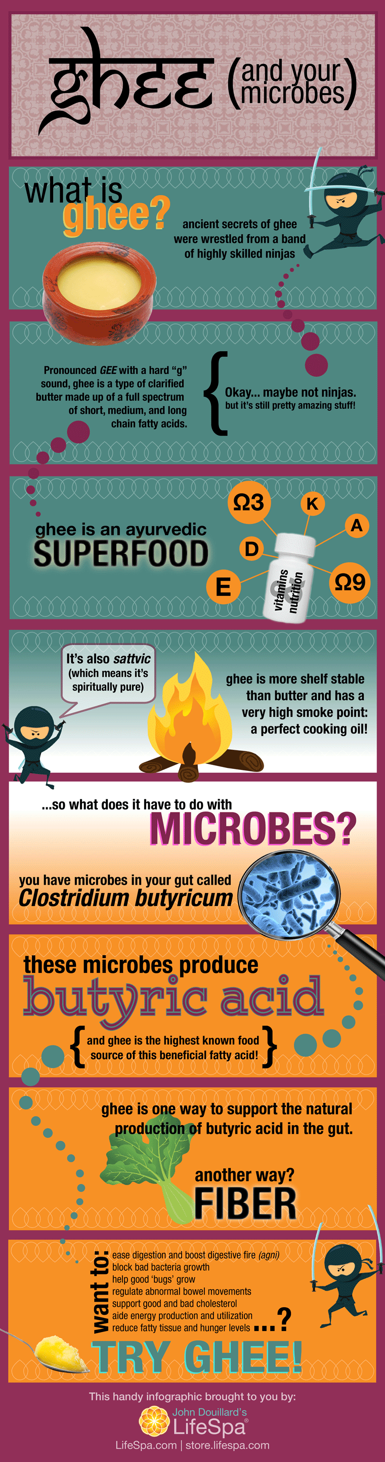 Ghee & Your Microbes infographic
