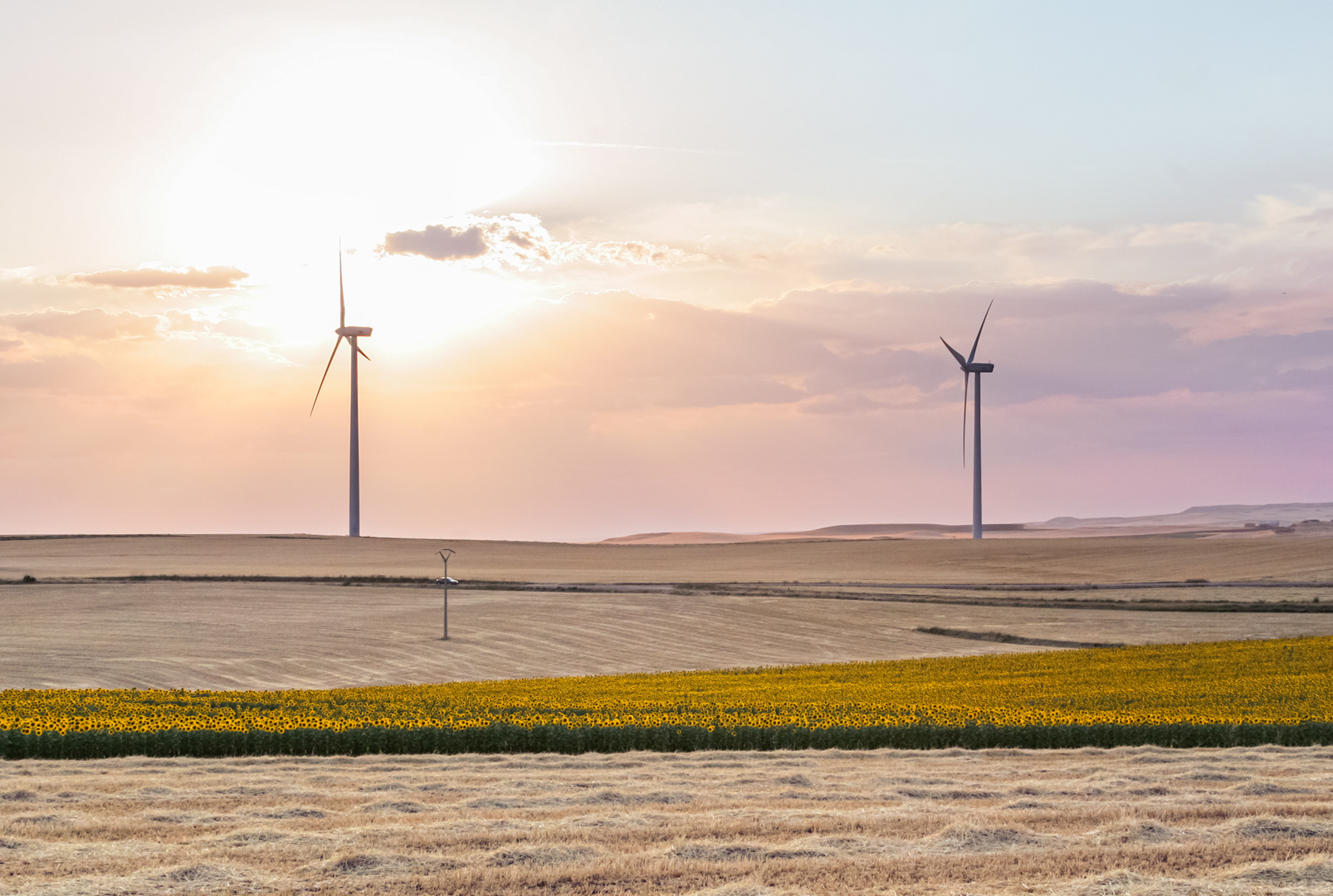 Aerogeneradores en campos de cultivo (SORIA)