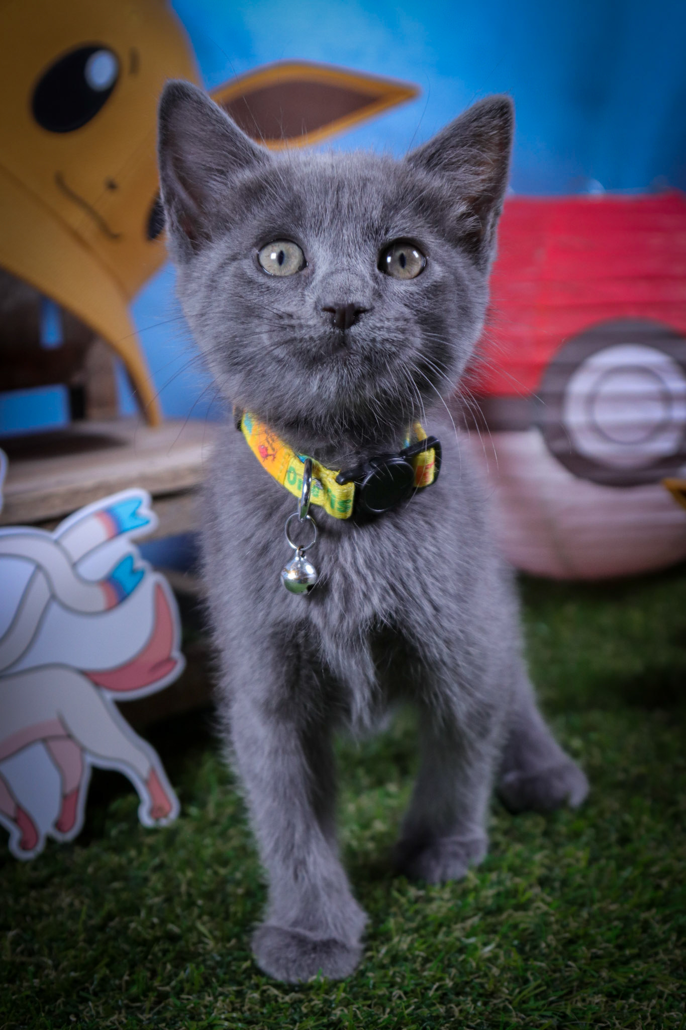 Silveon (F-DSH-Grey)
