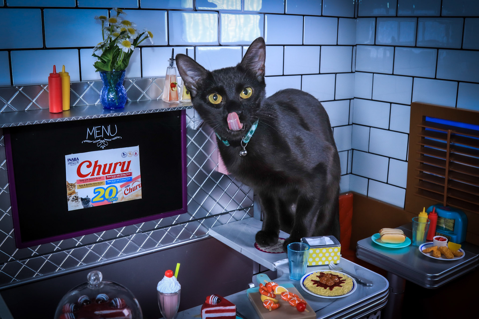 Maisy (F-DSH-Black)