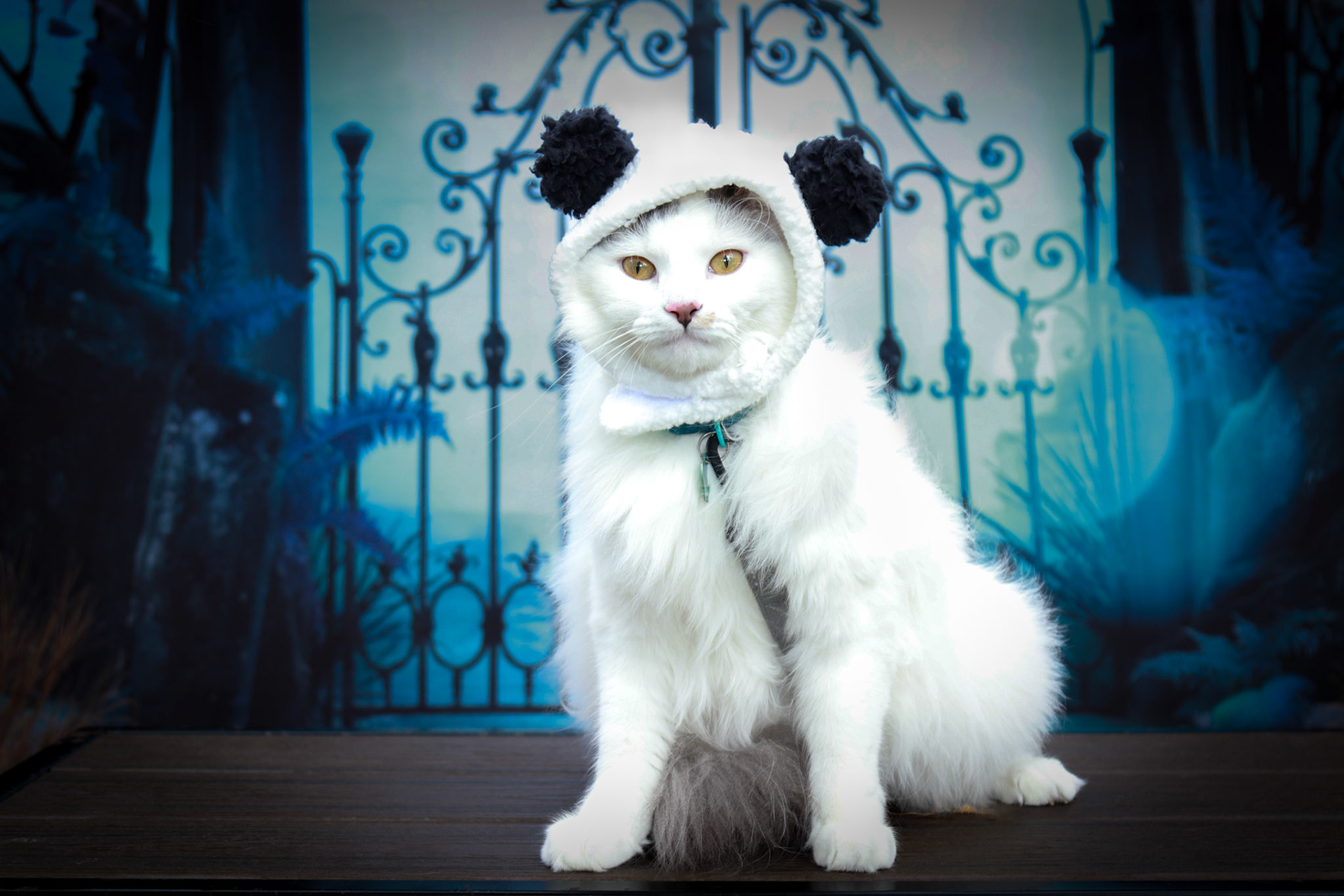 Panda (DLH-M-Gray/White)