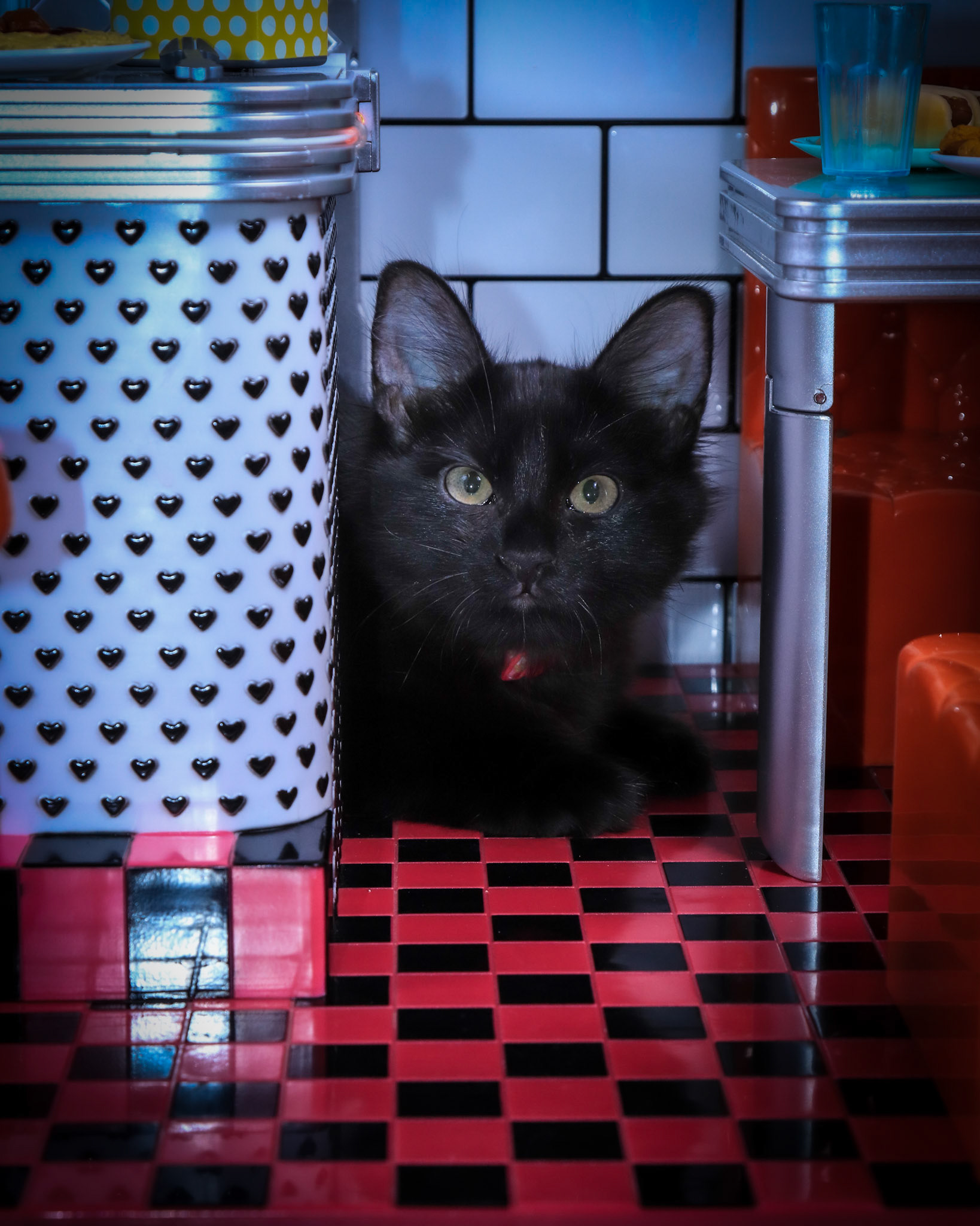 Mooshi (F-DMH-Black)