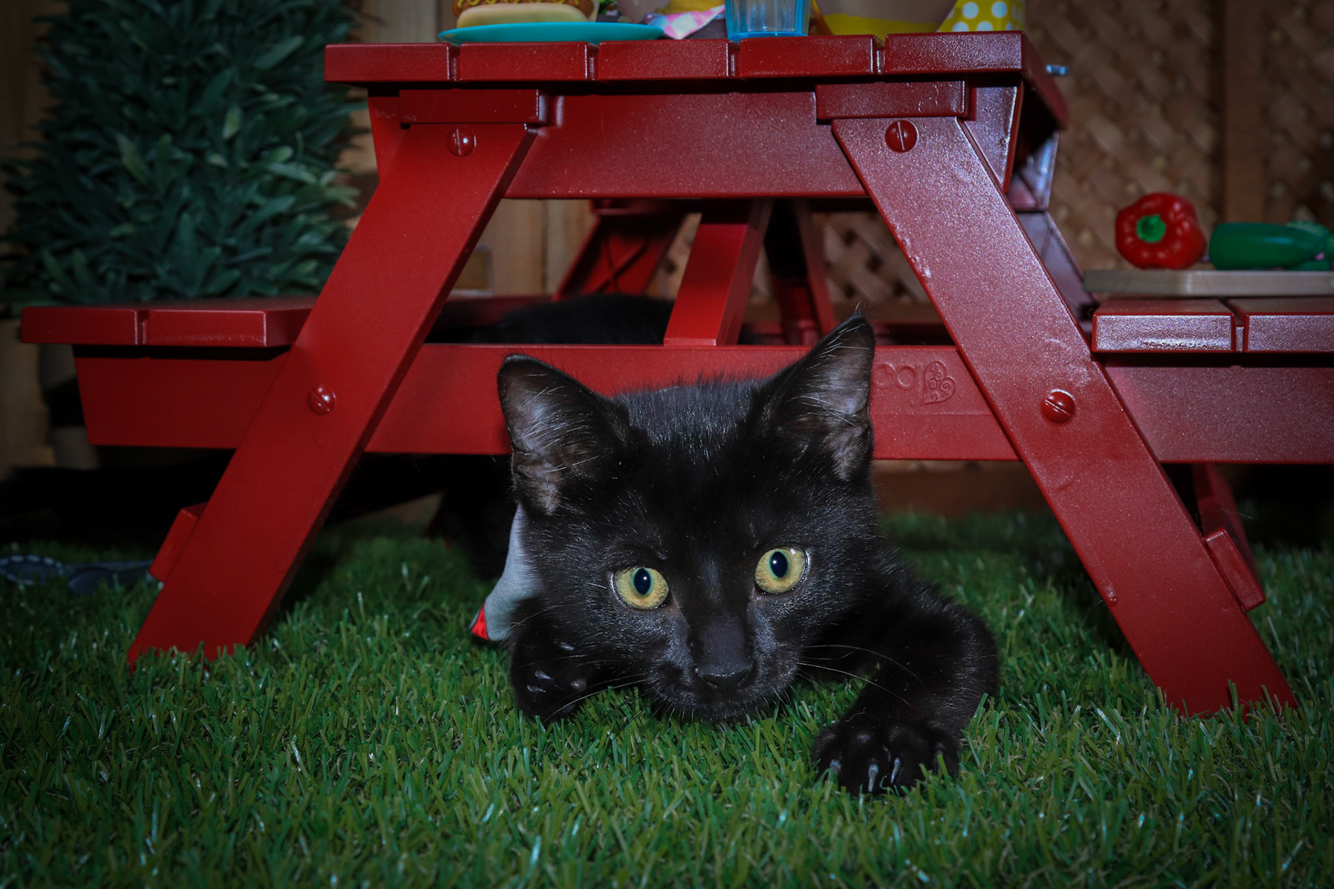 Nox (M-DSH-Black)