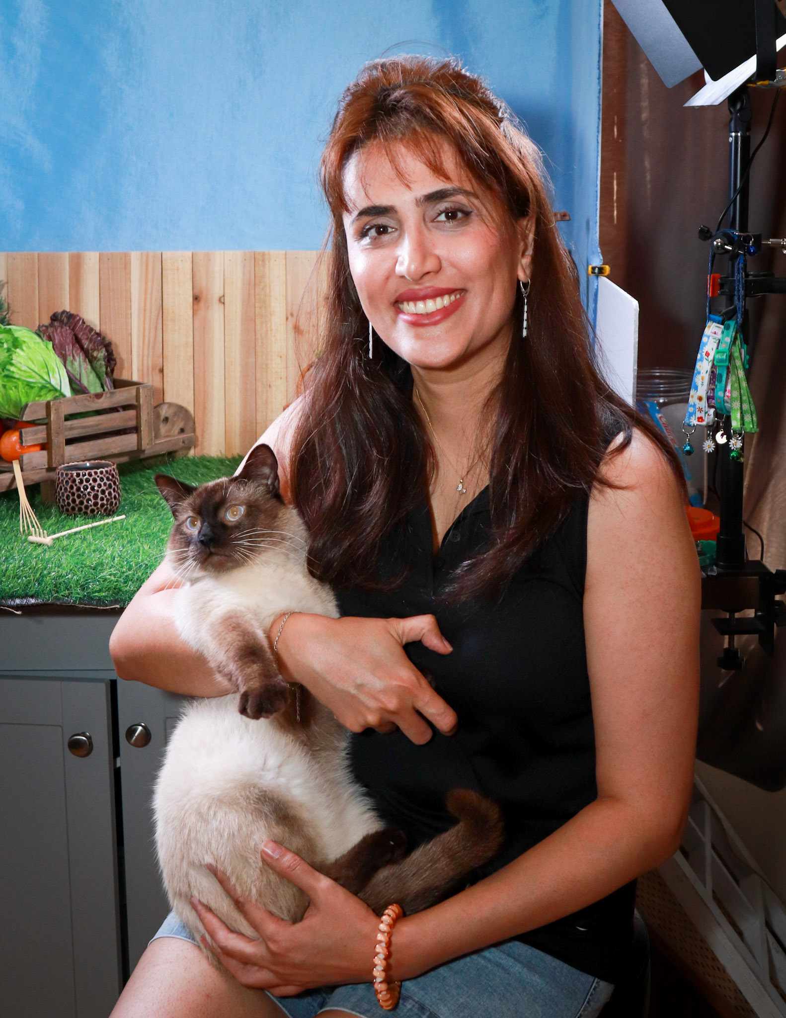 Amir (M-DSH-Siamese)