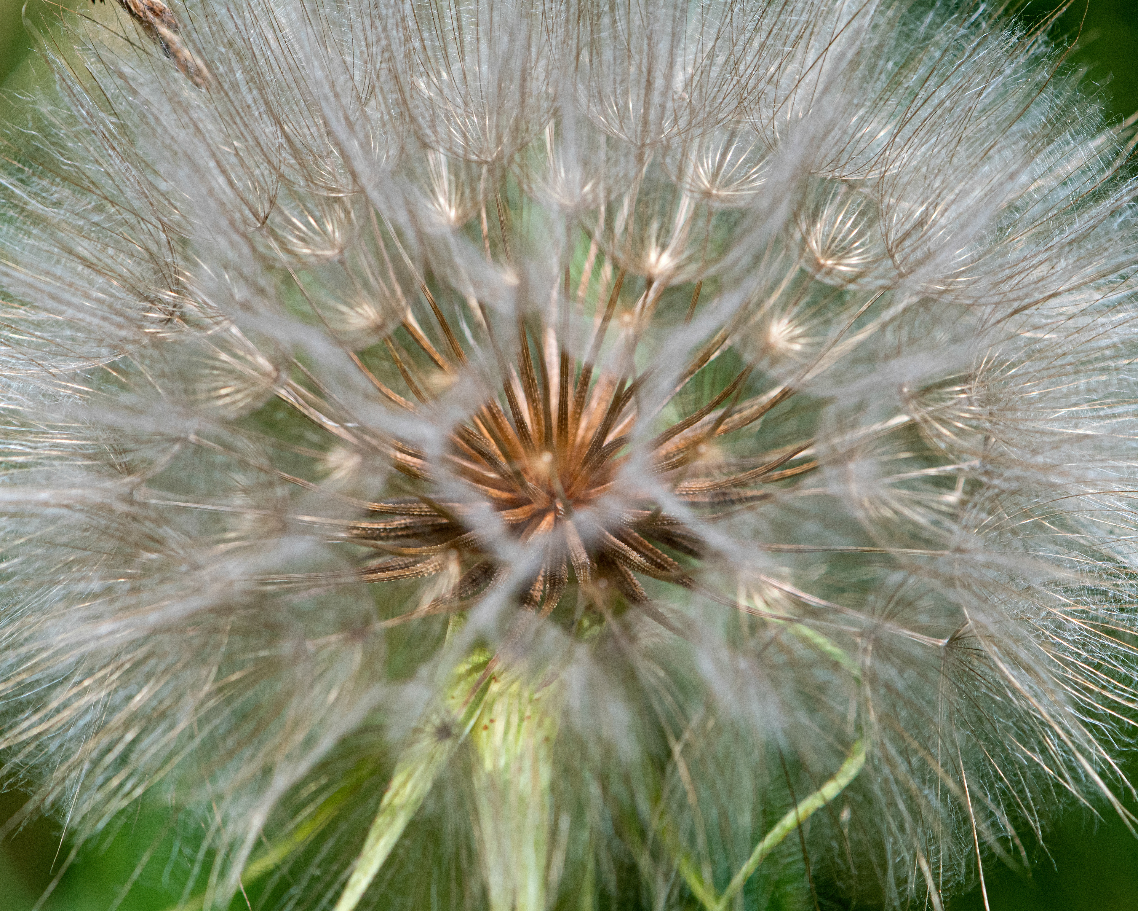 D2001