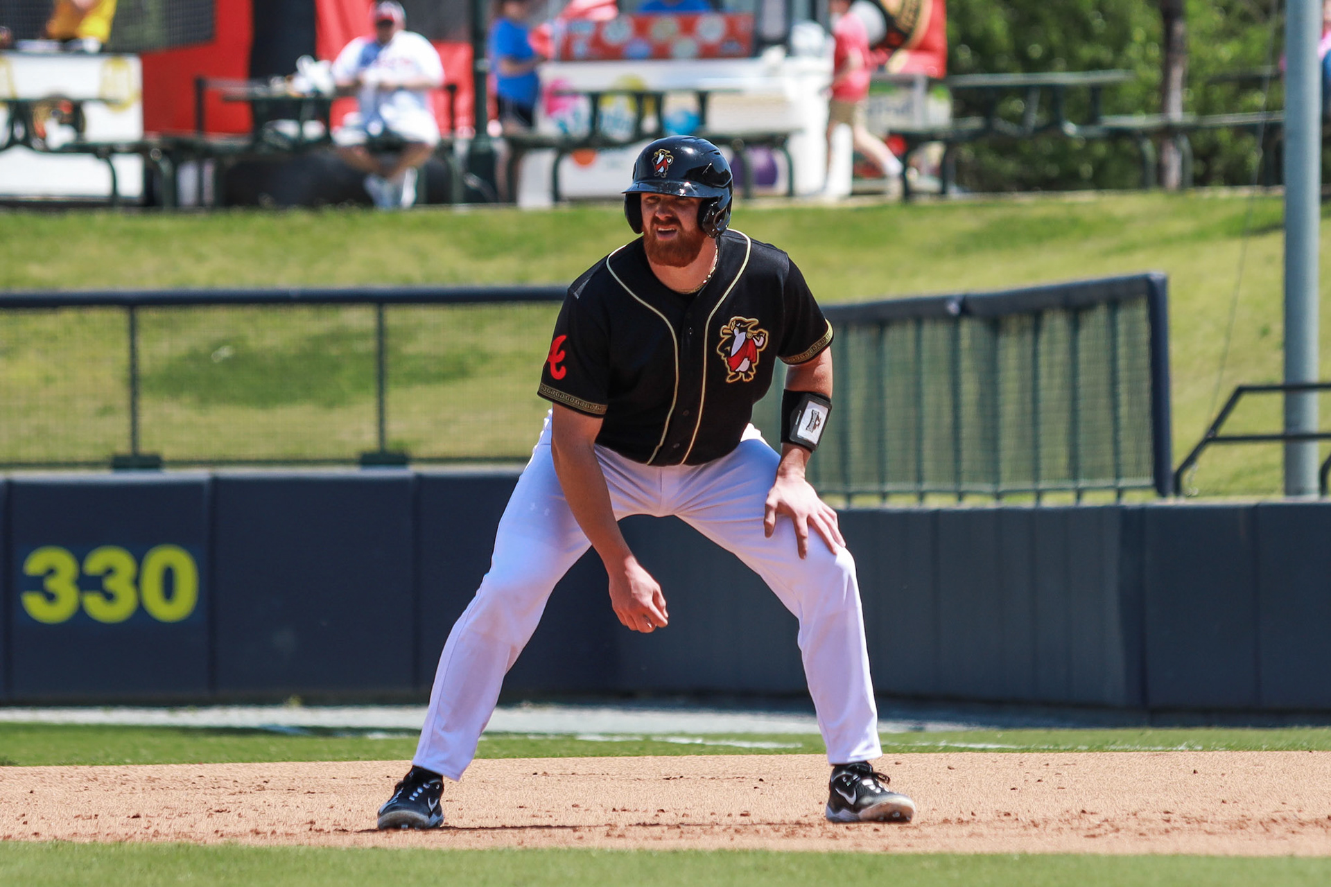 Homestand 2 vs. Hudson Valley 4.14