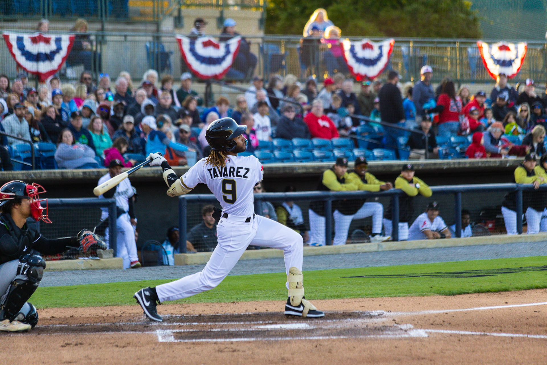 Homestand 1 vs. Hickory 4.5