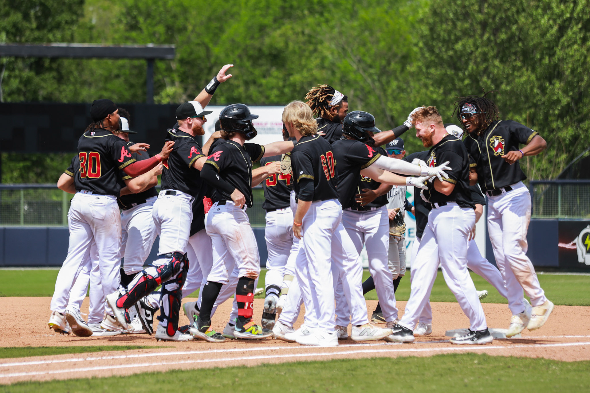 Homestand 2 vs. Hudson Valley 4.14