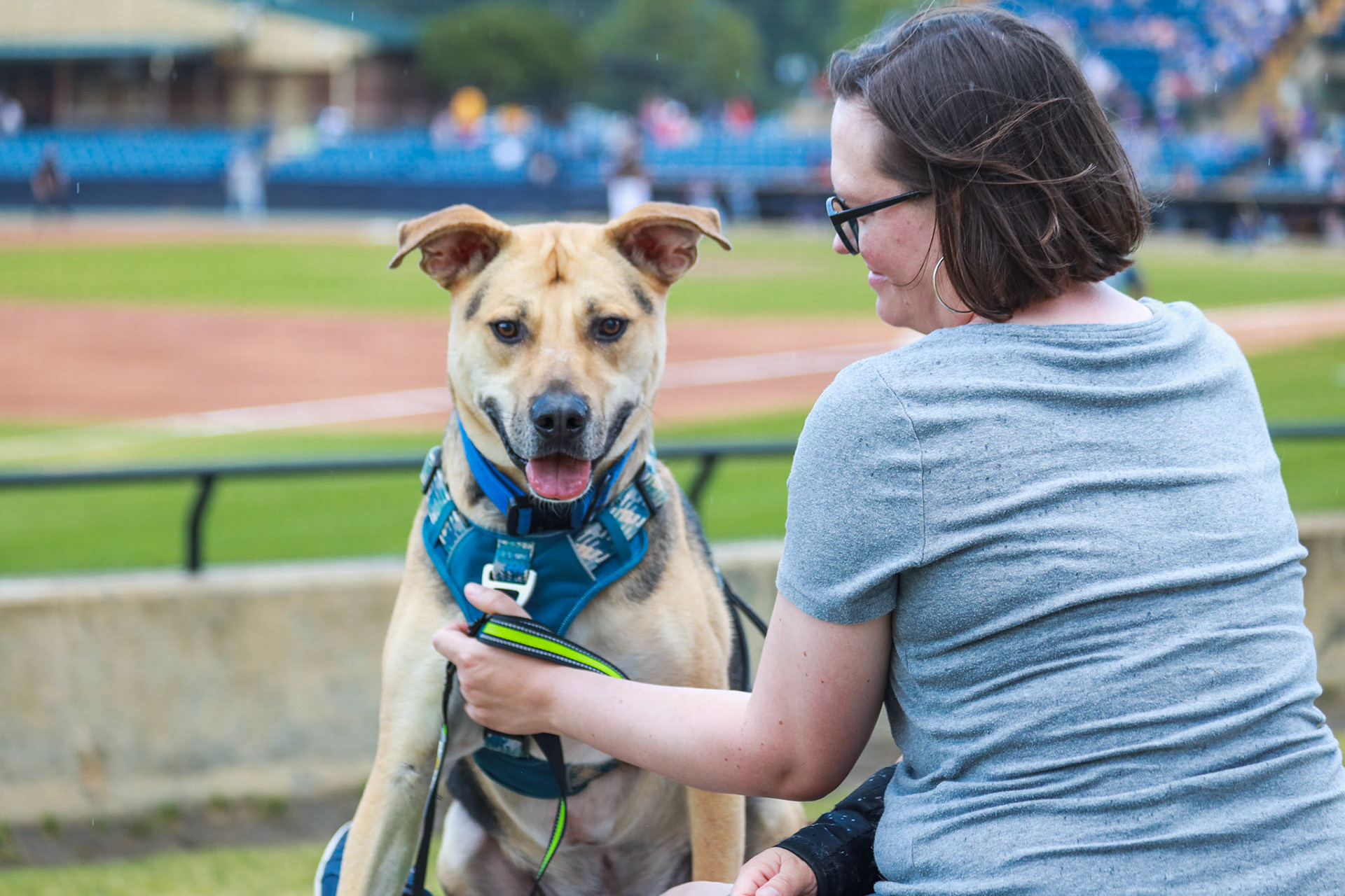 Homestand 4 vs. Brooklyn Cyclones 5.8