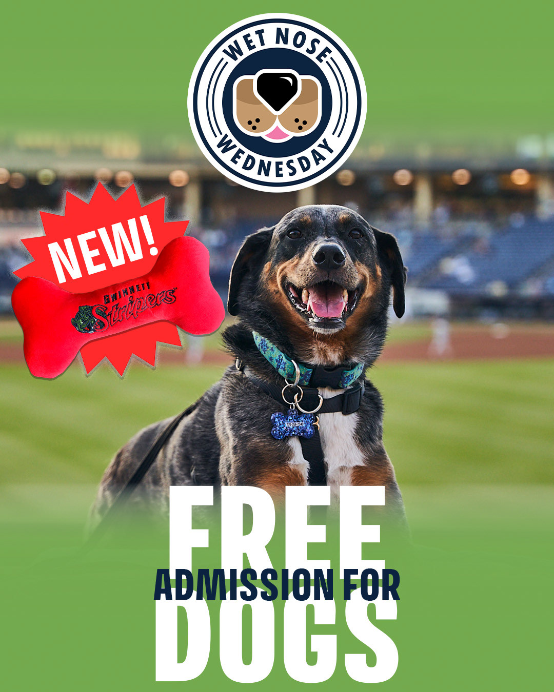 Gwinnett Stripers Wet Nose Wednesday Promotion