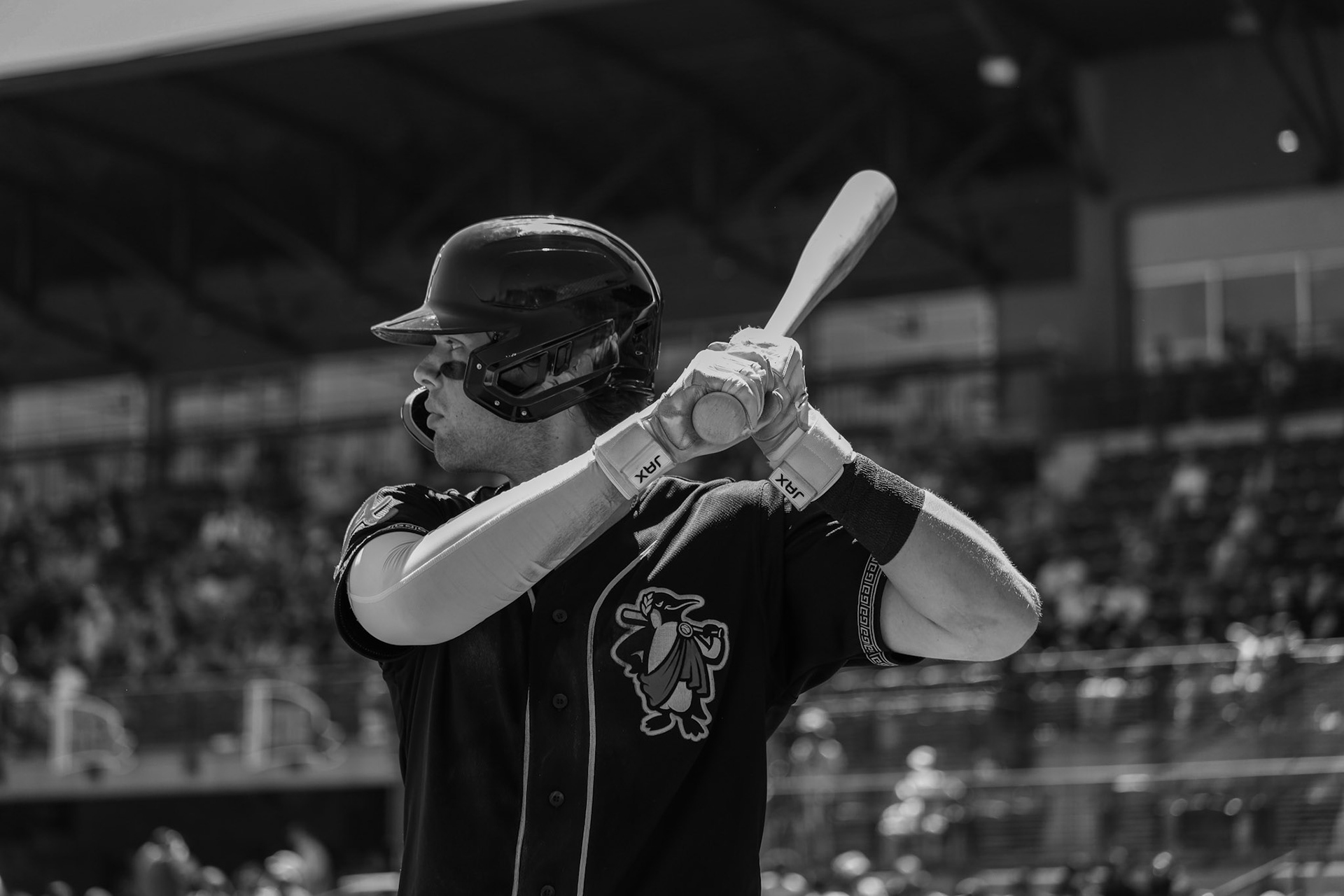 Homestand 3 vs. Hickory 5.1