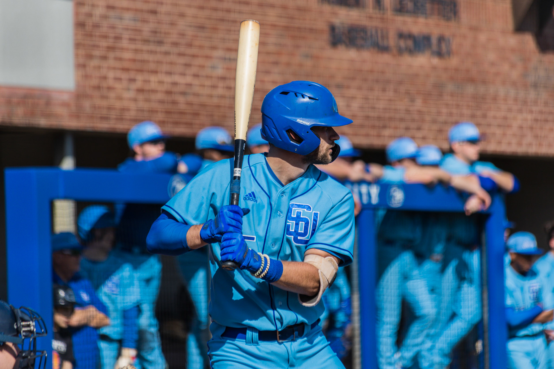 Shorter Baseball v. Carson Newman
