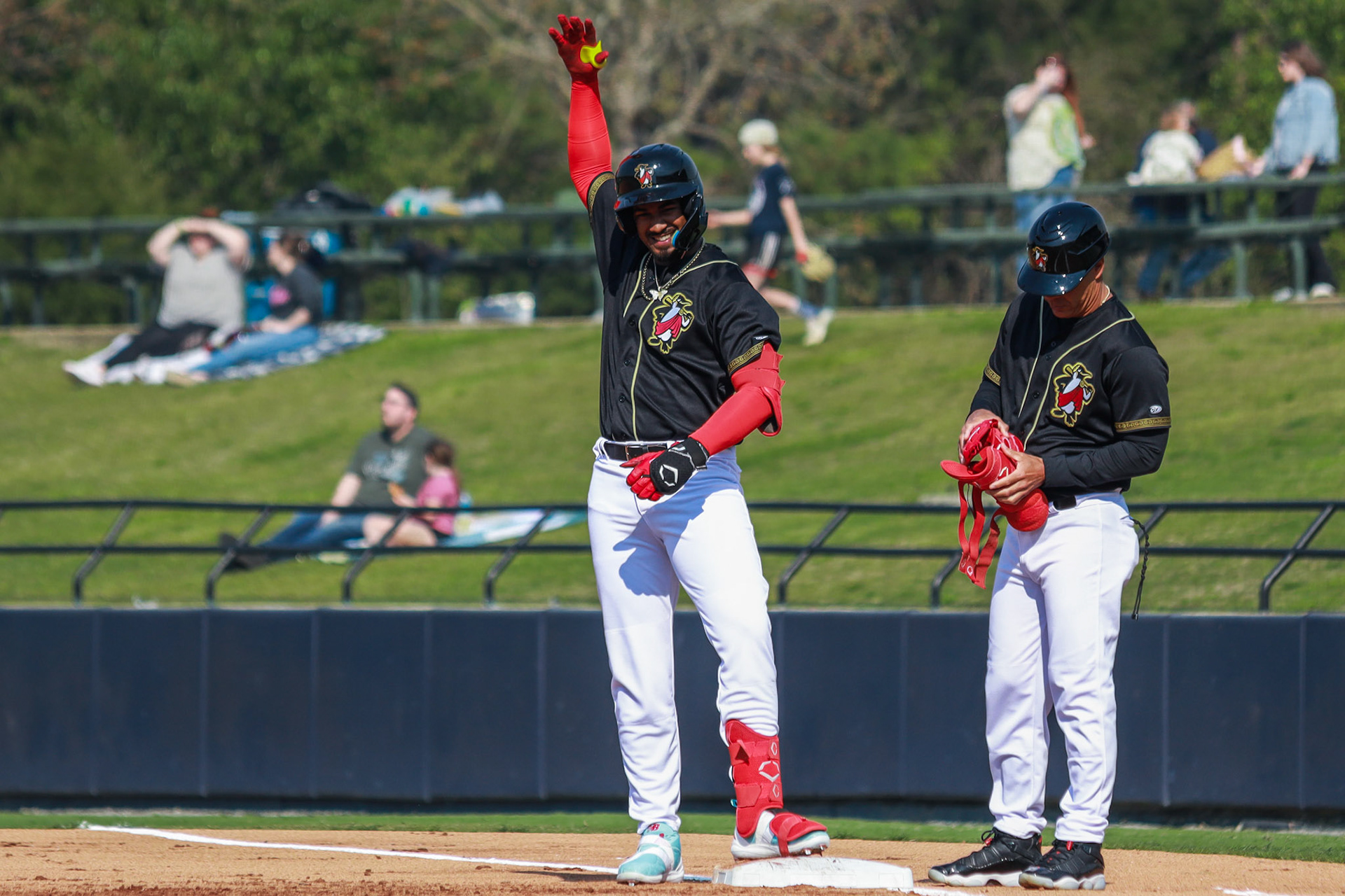 Homestand 1 vs. Hickory 4.6