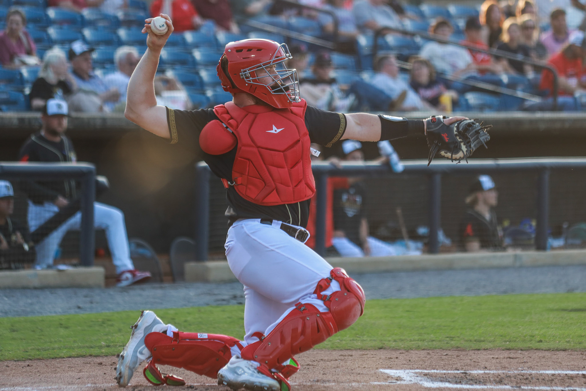 Homestand 4 vs. Brooklyn Cyclones 5.9