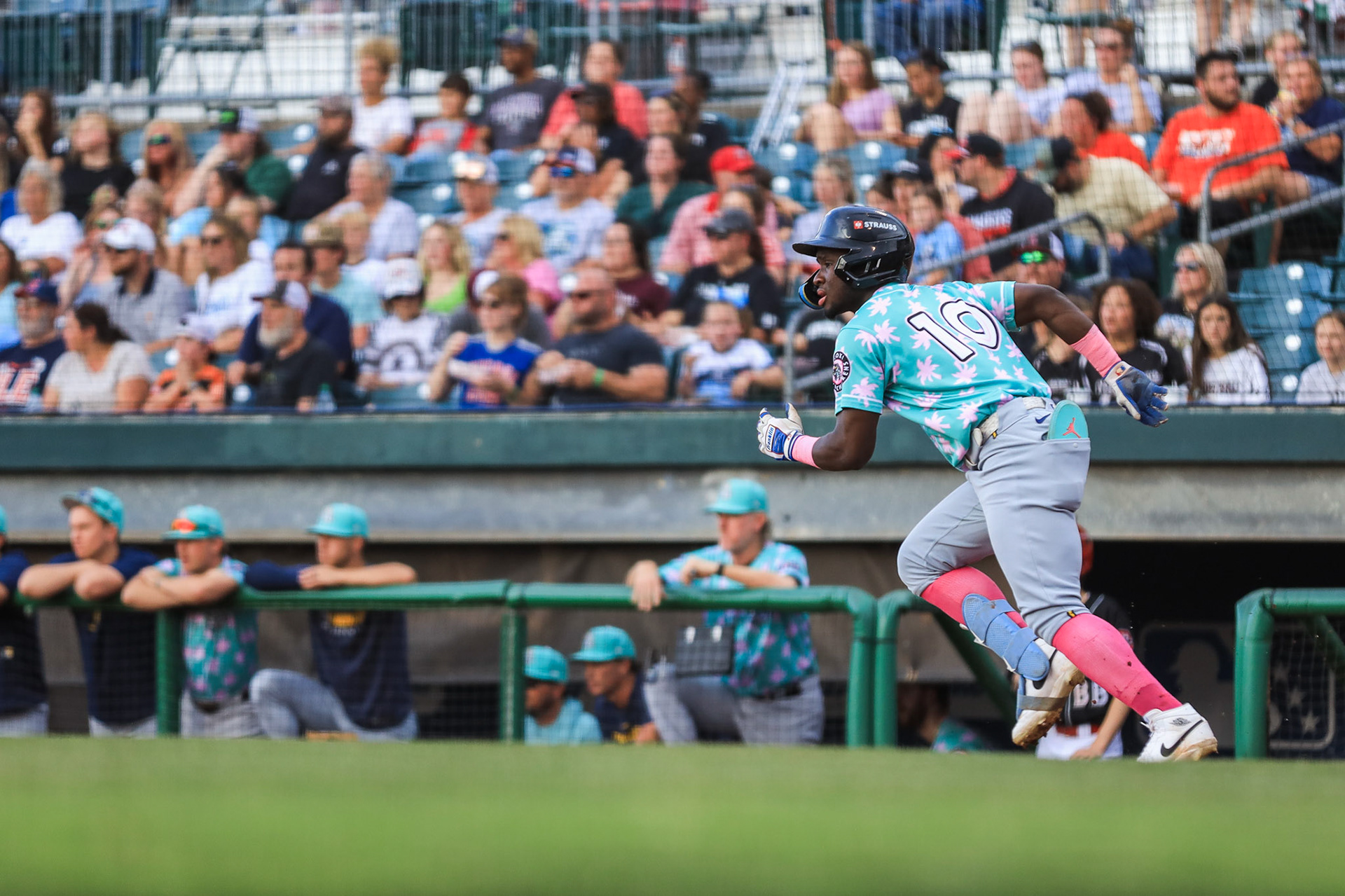 Lookouts vs. Shuckers 6.12