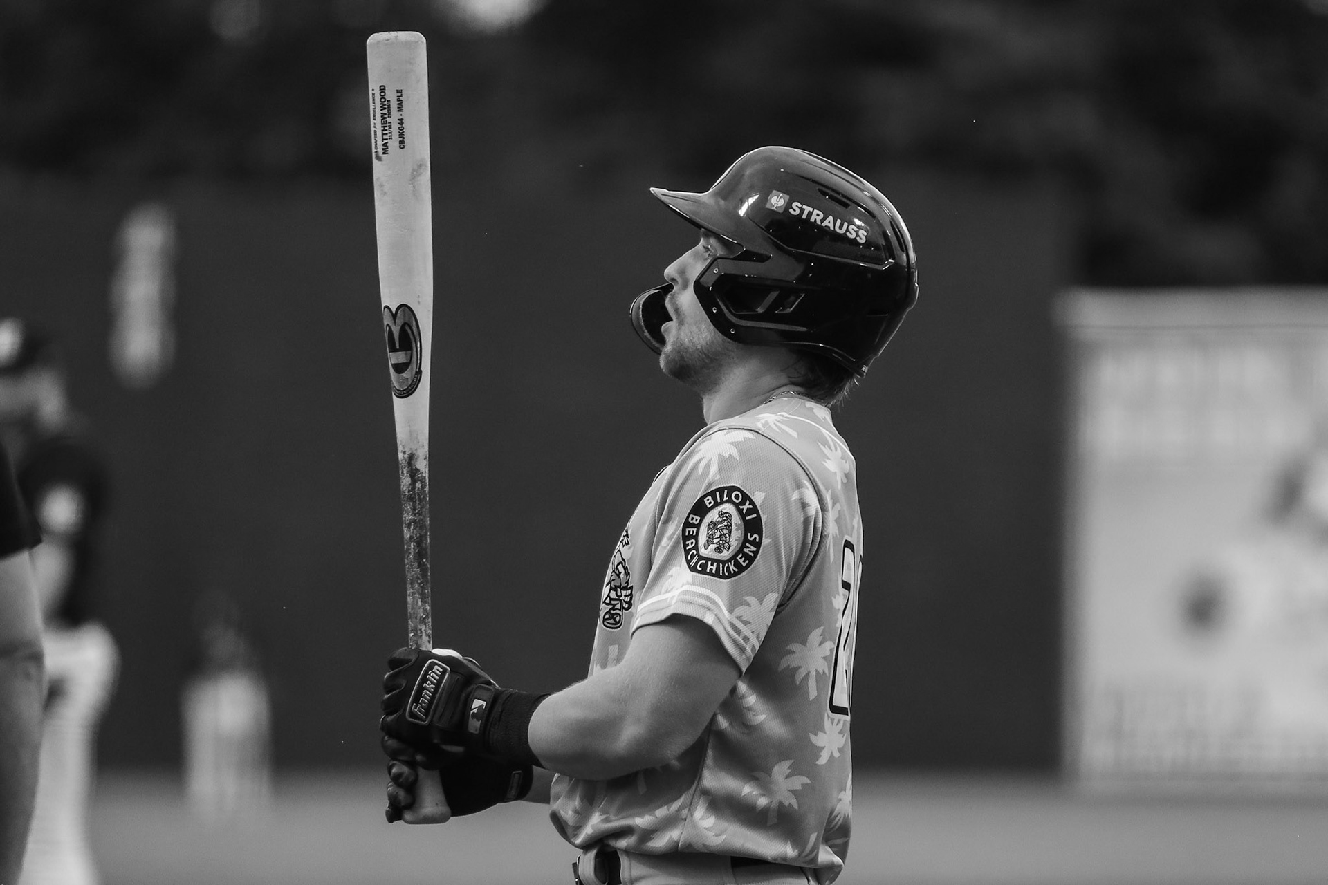 Lookouts vs. Shuckers 6.12