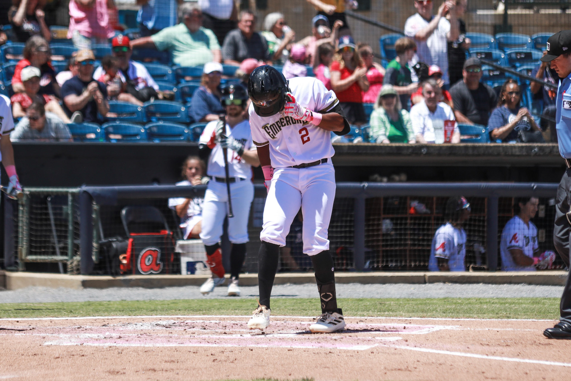 Homestand 4 vs. Brooklyn Cyclones 5.12