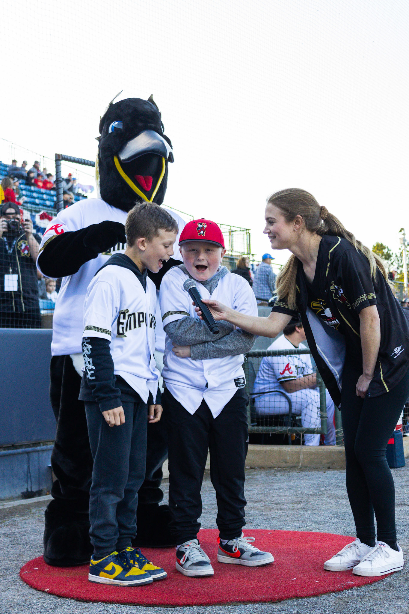 Homestand 1 vs. Hickory 4.5