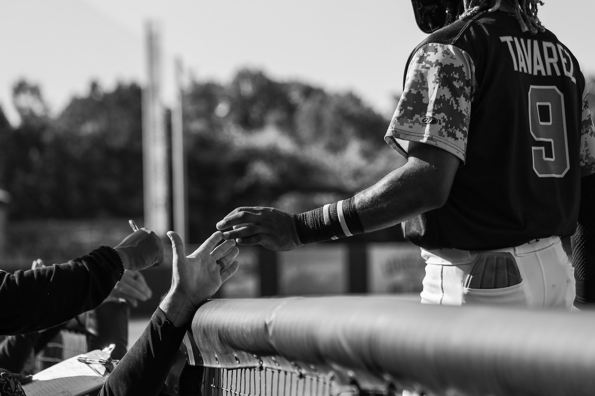 Homestand 5 vs. Blue Rocks 5.25