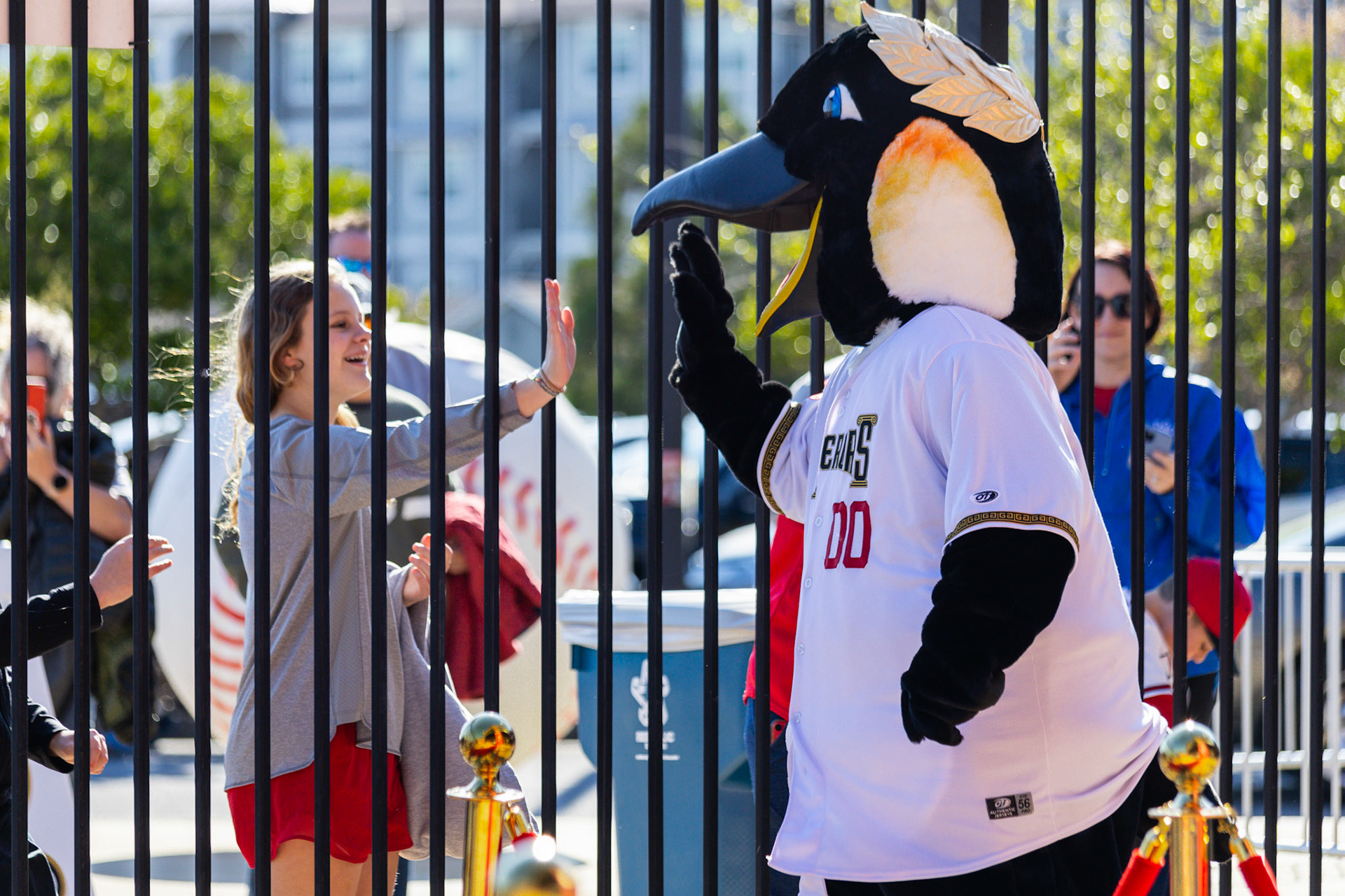 Homestand 1 vs. Hickory 4.5