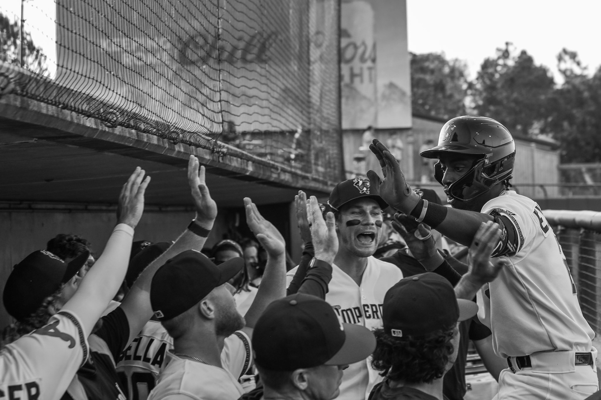 Homestand 3 vs. Hickory 5.2