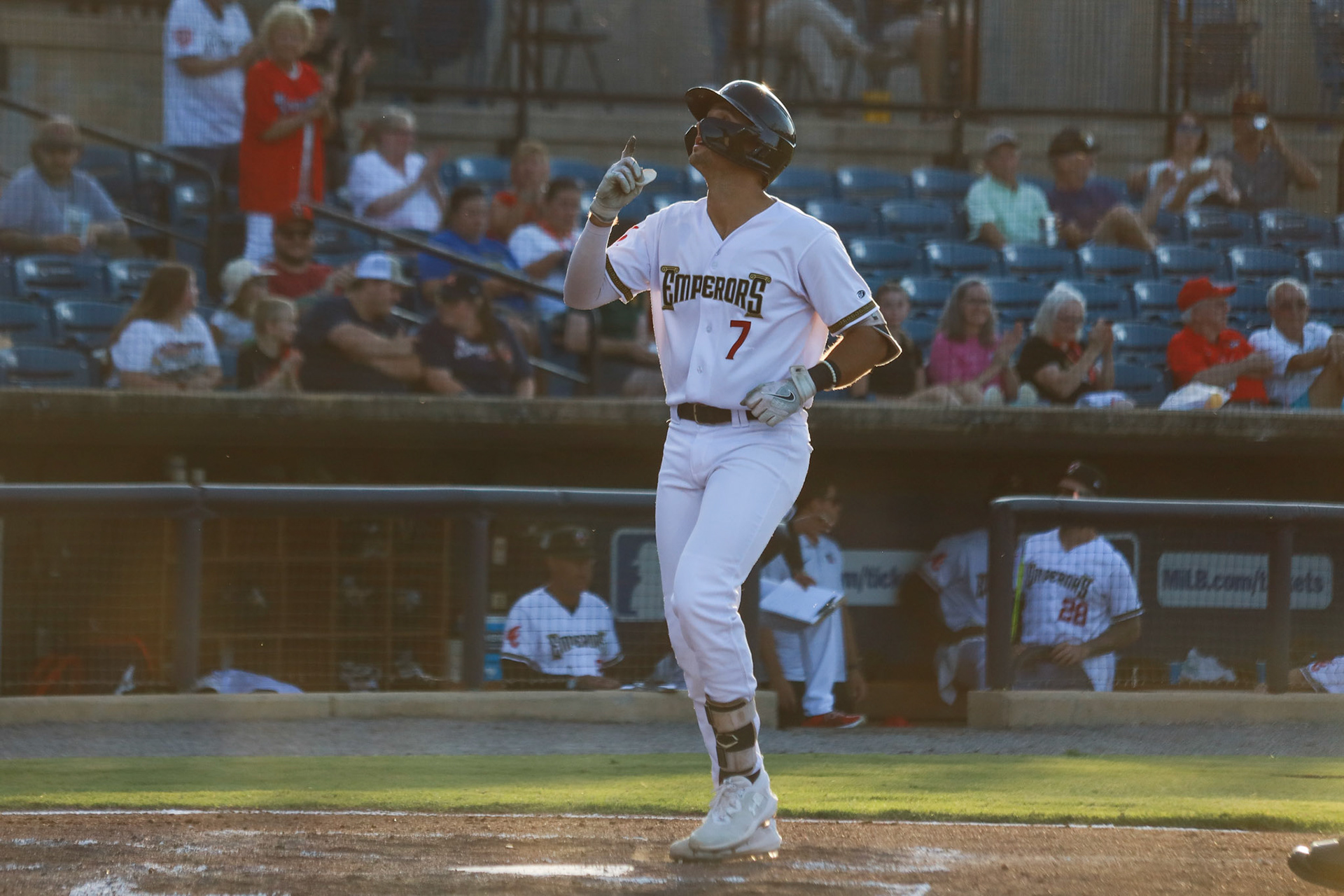 Homestand 9 vs. Greenville Drive 7.10