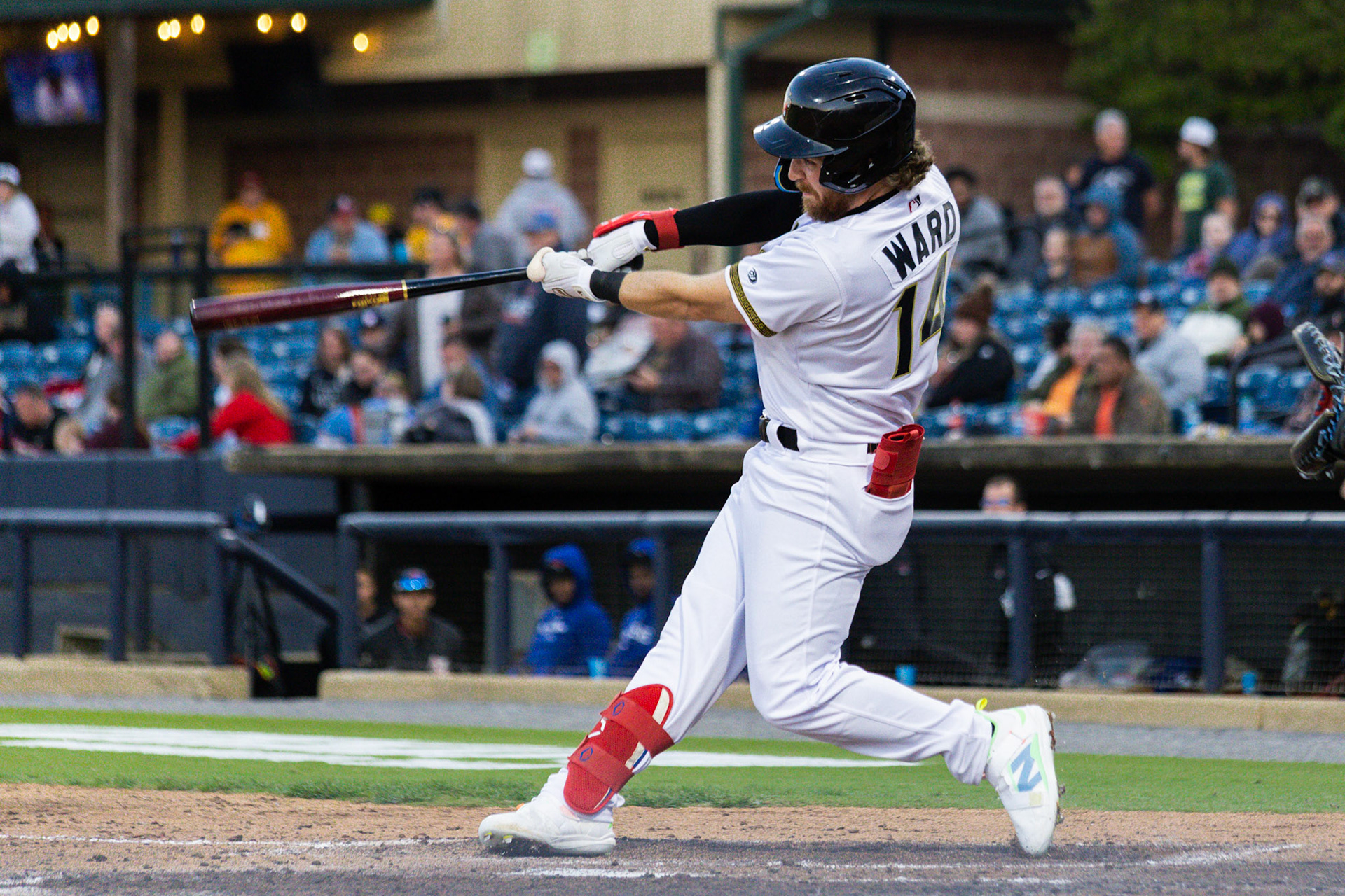 Homestand 1 vs. Hickory 4.5