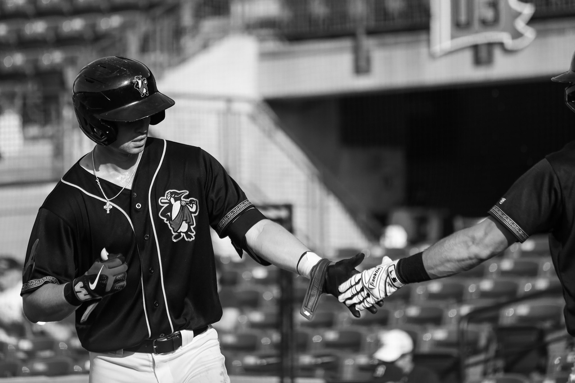 Homestand 10 vs. Bowling Green 8.3