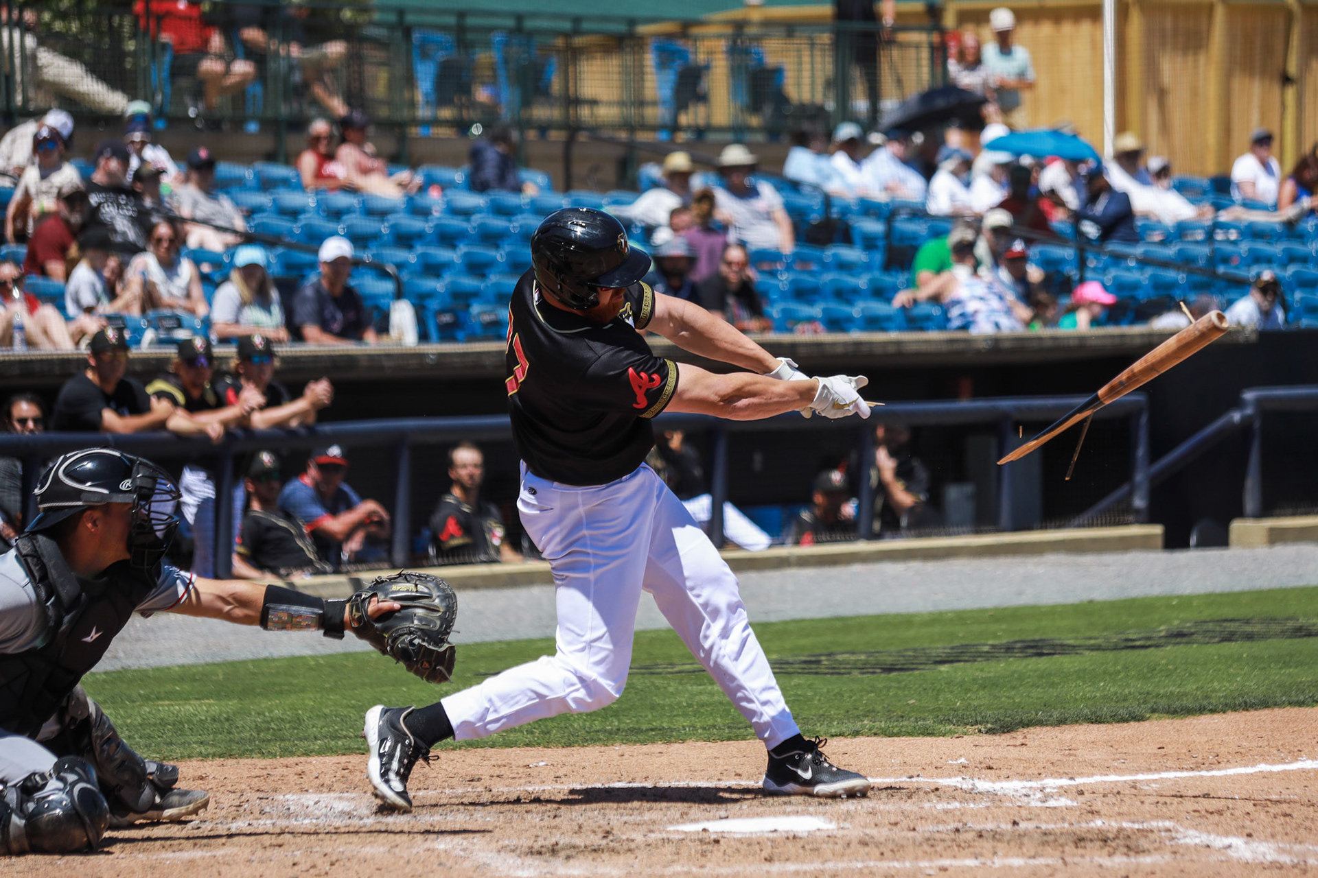 Homestand 3 vs. Hickory 5.1