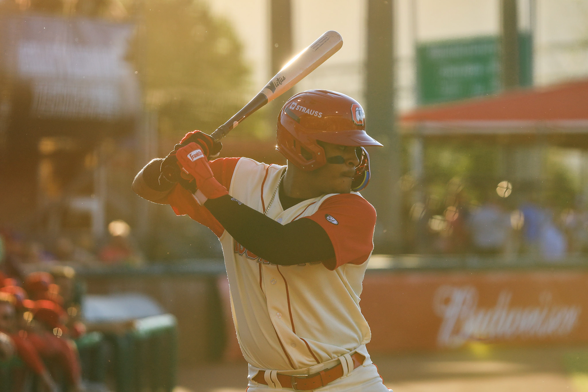 Lookouts vs. Trash Pandas 5.21