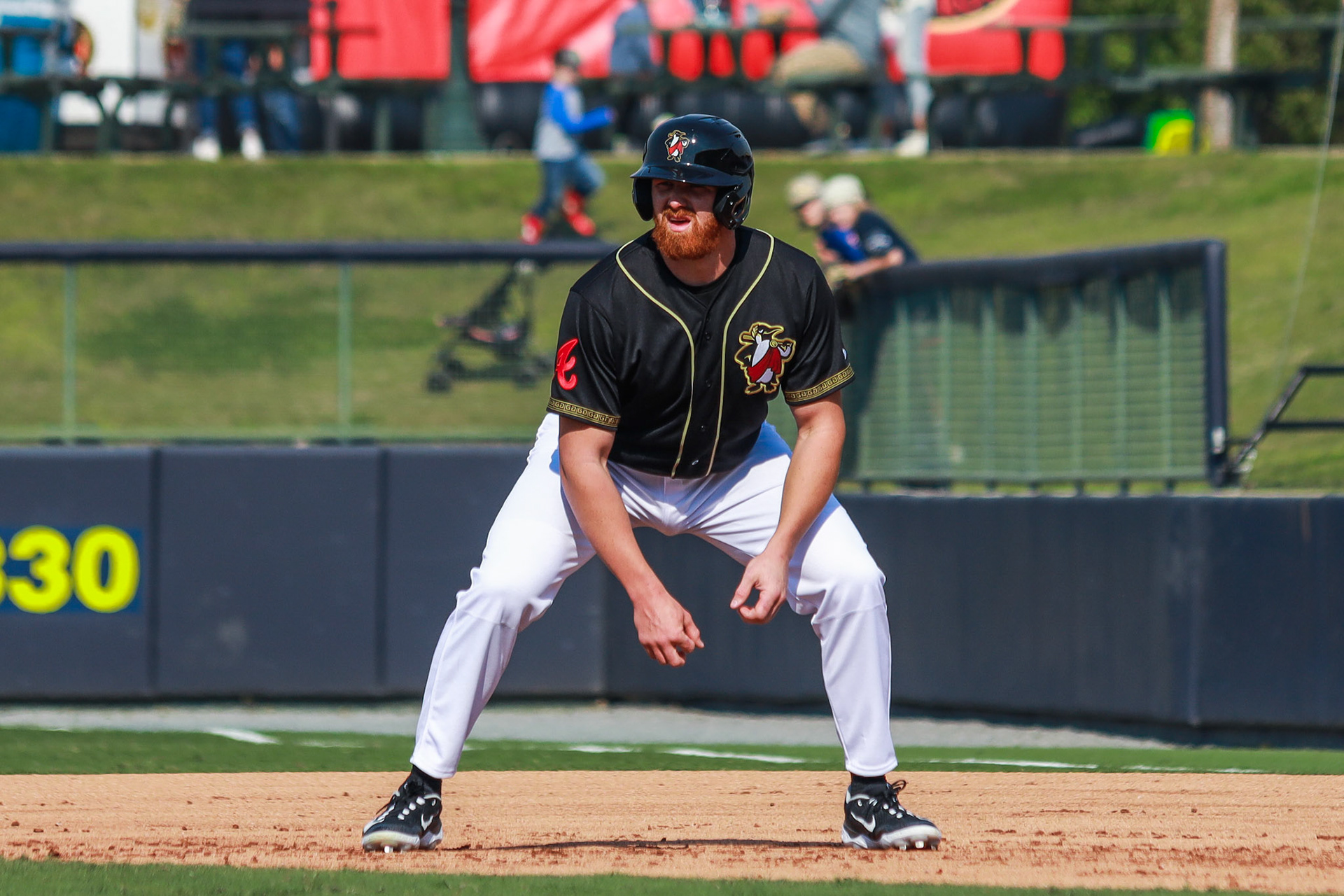 Homestand 1 vs. Hickory 4.6