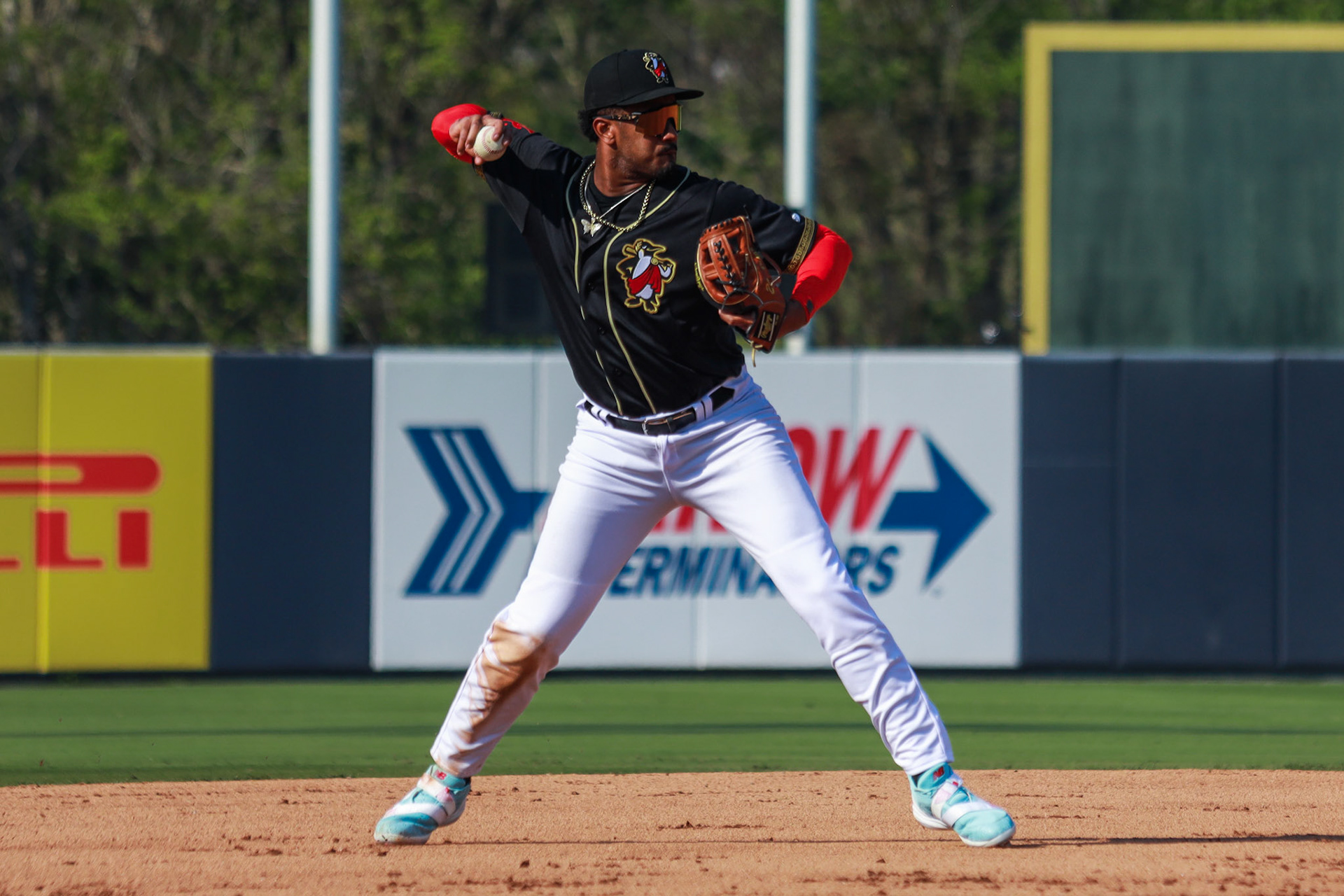 Homestand 1 vs. Hickory 4.6