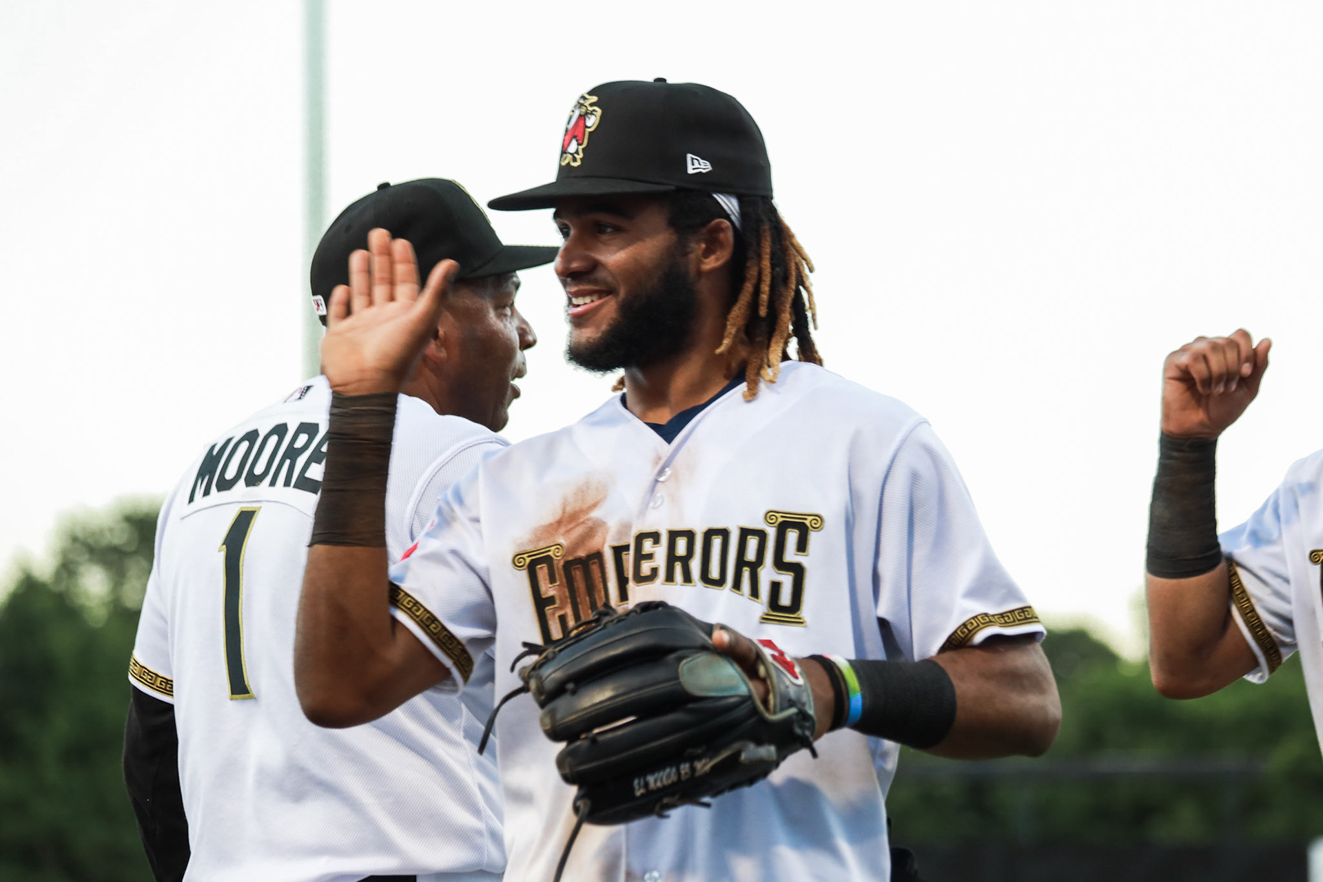 Homestand 3 vs. Hickory 4.30