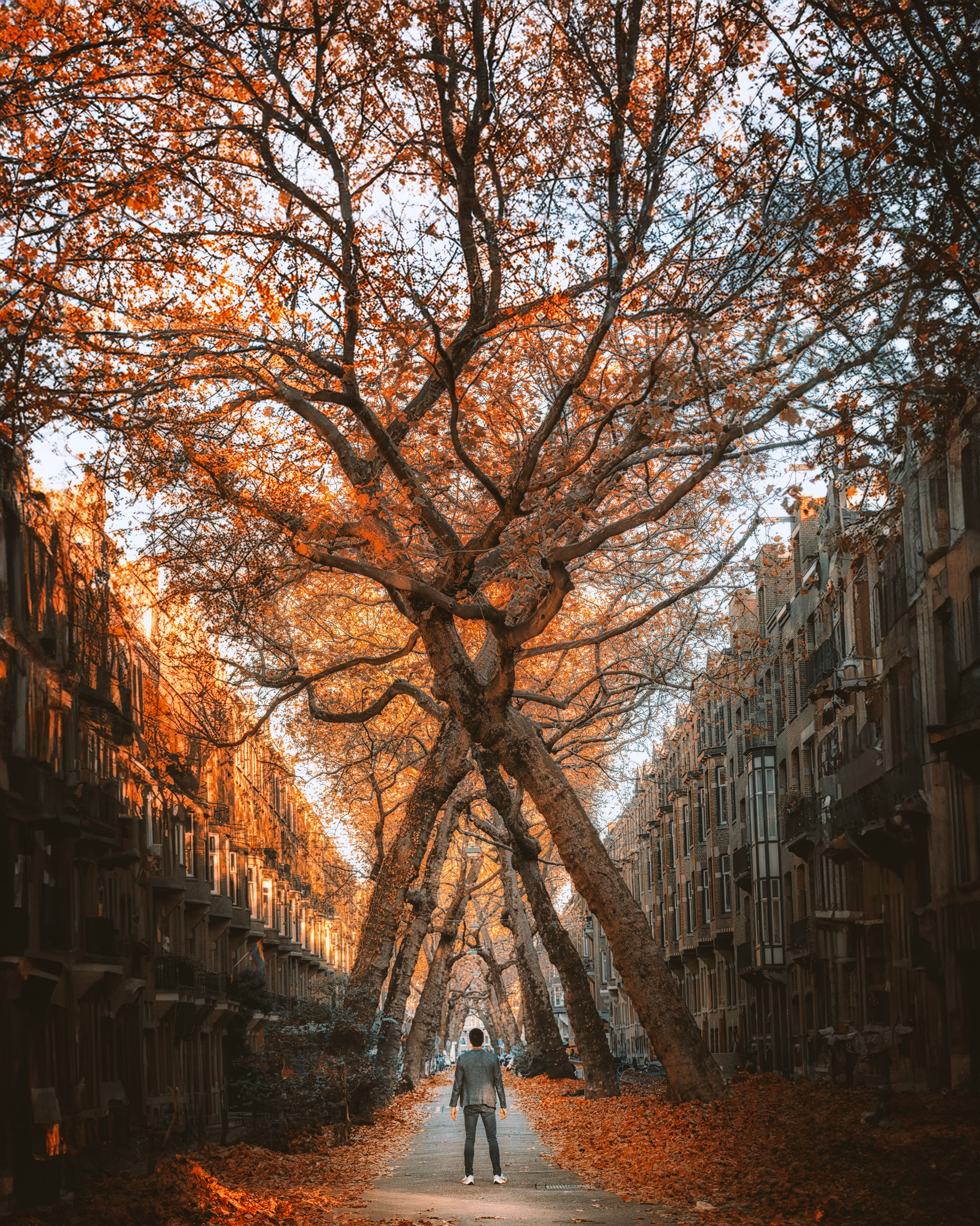 AMSTERDAM