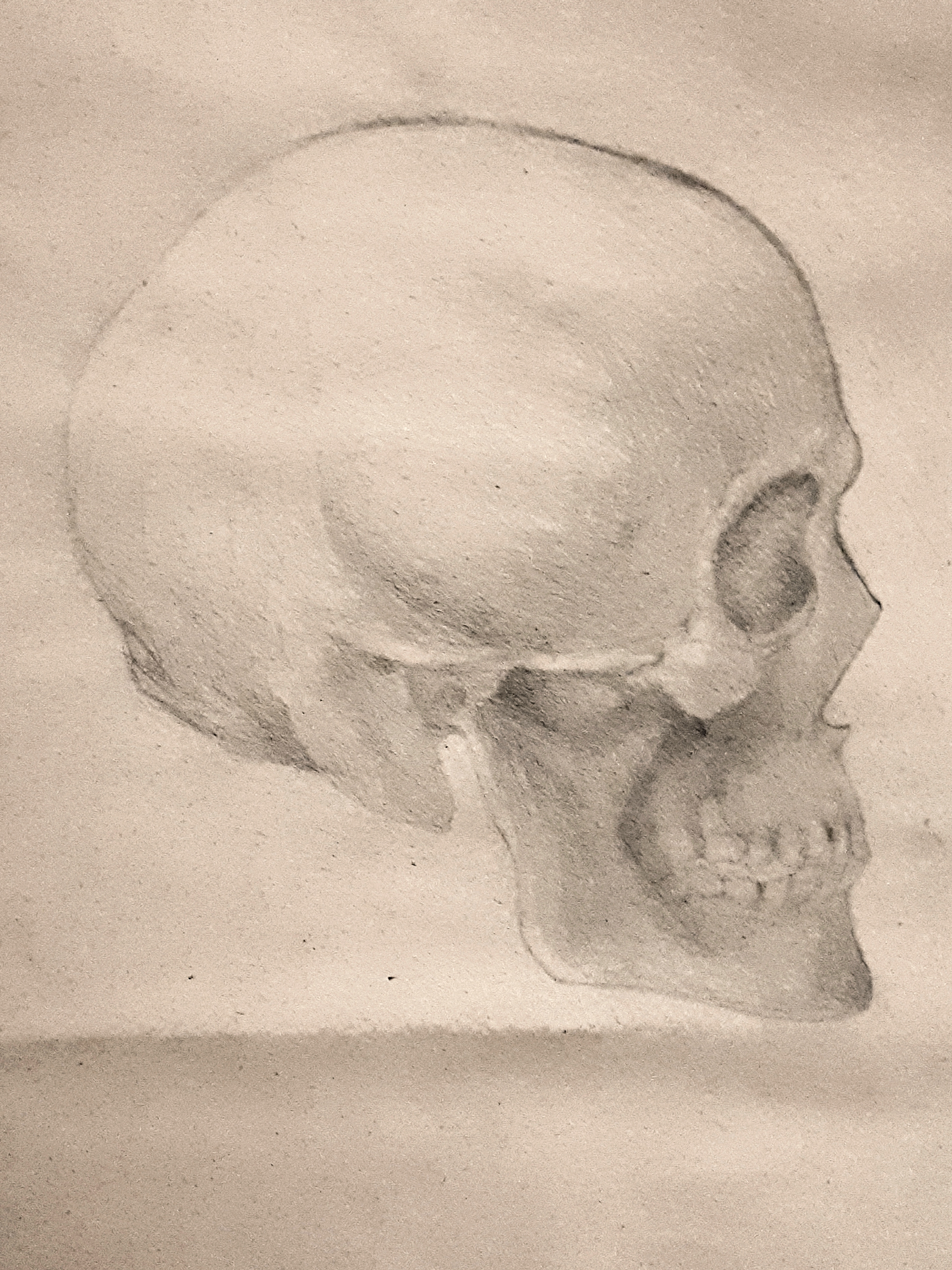 2010. Tecnique-Pencil