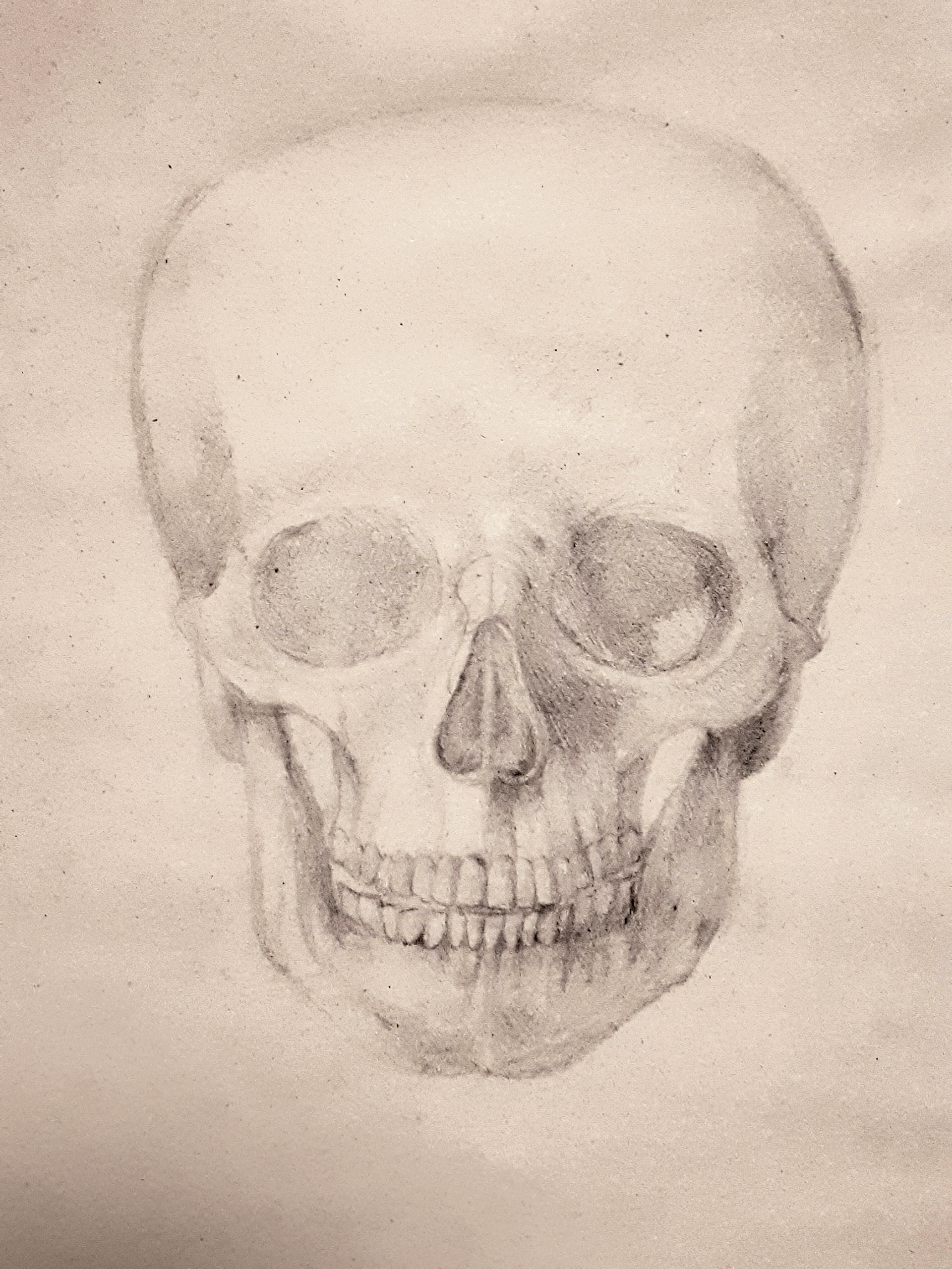 2010. Technique-Pencil