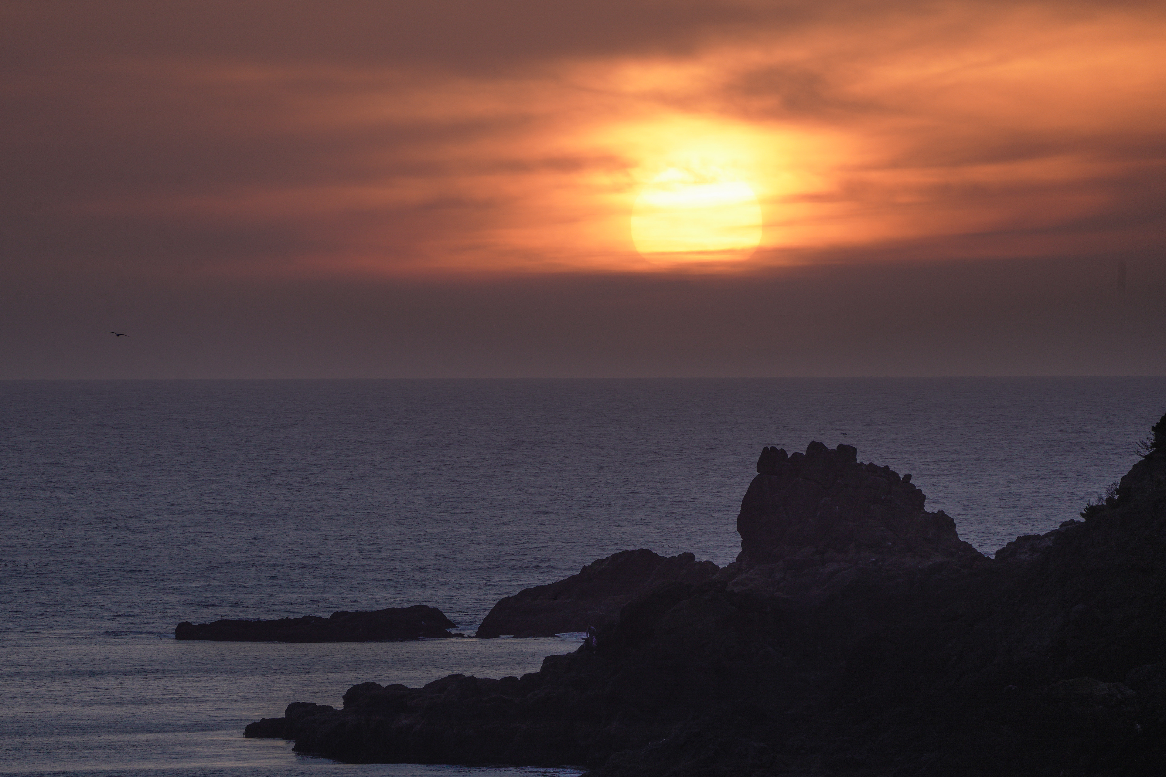 Newport Sunset